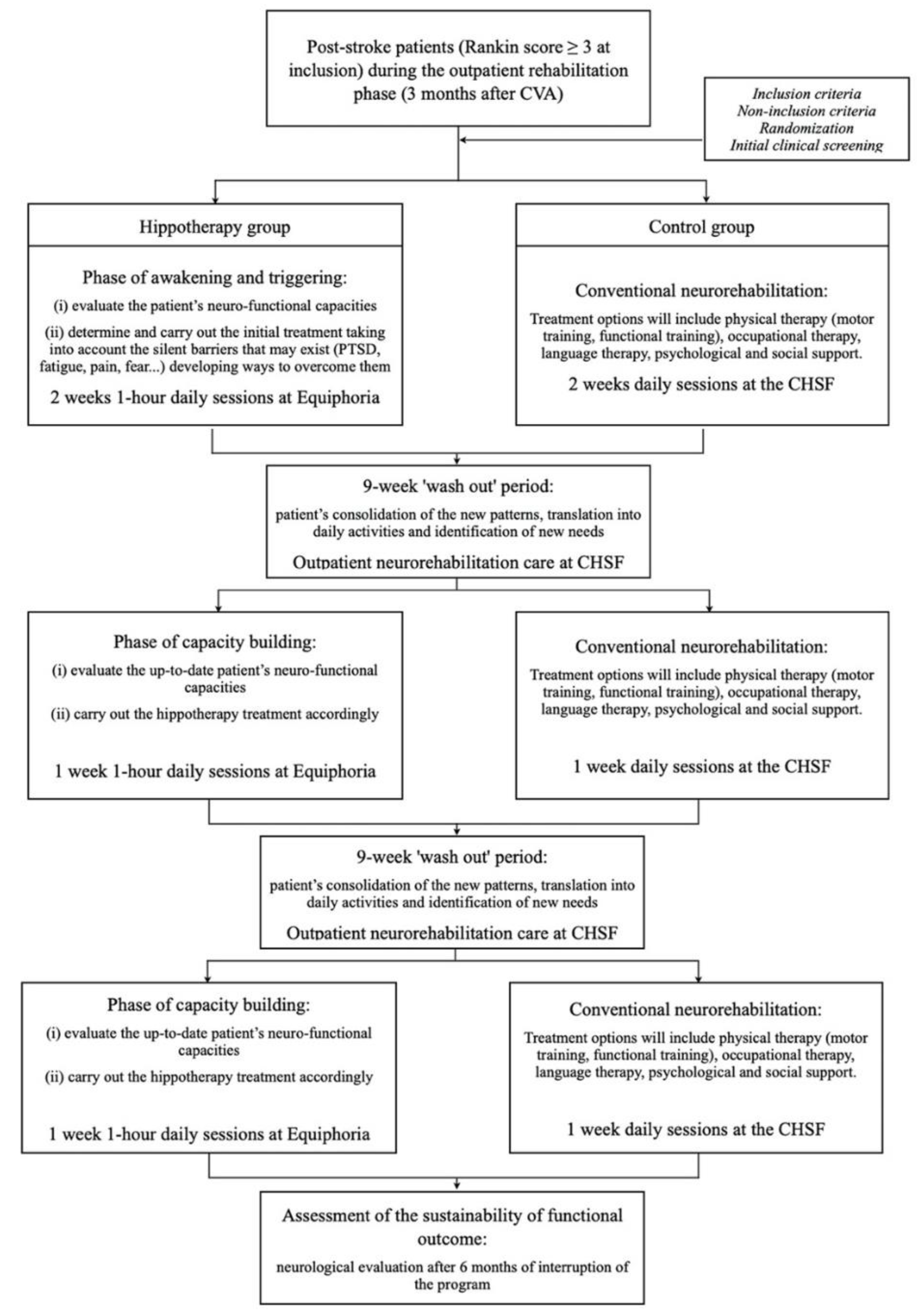 Brainsci 12 00619 g001