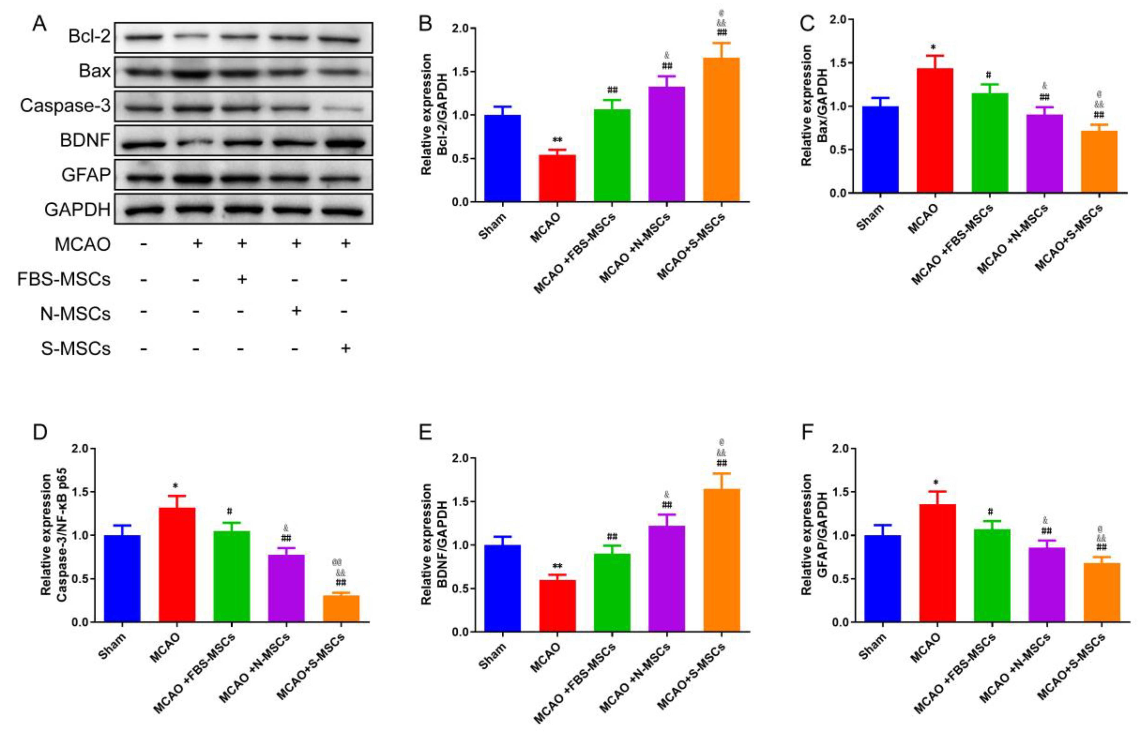 Brainsci 12 00631 g008 550