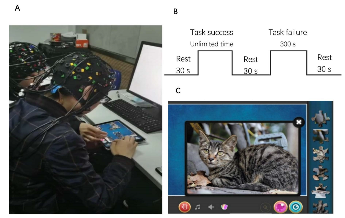 Brainsci 12 00635 g001 Brainsci 12 00635 g001