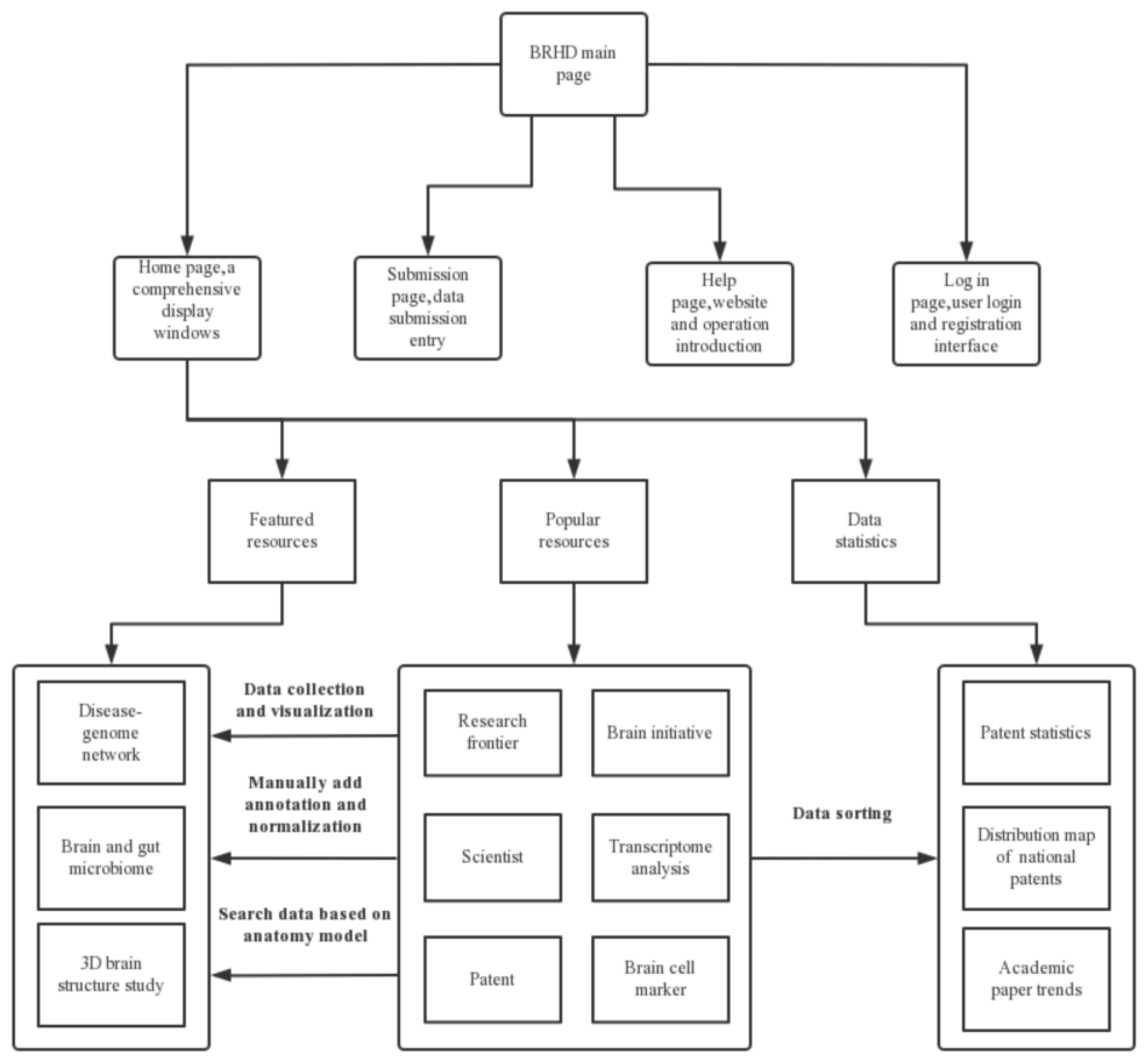 Brainsci 12 00638 g002 550