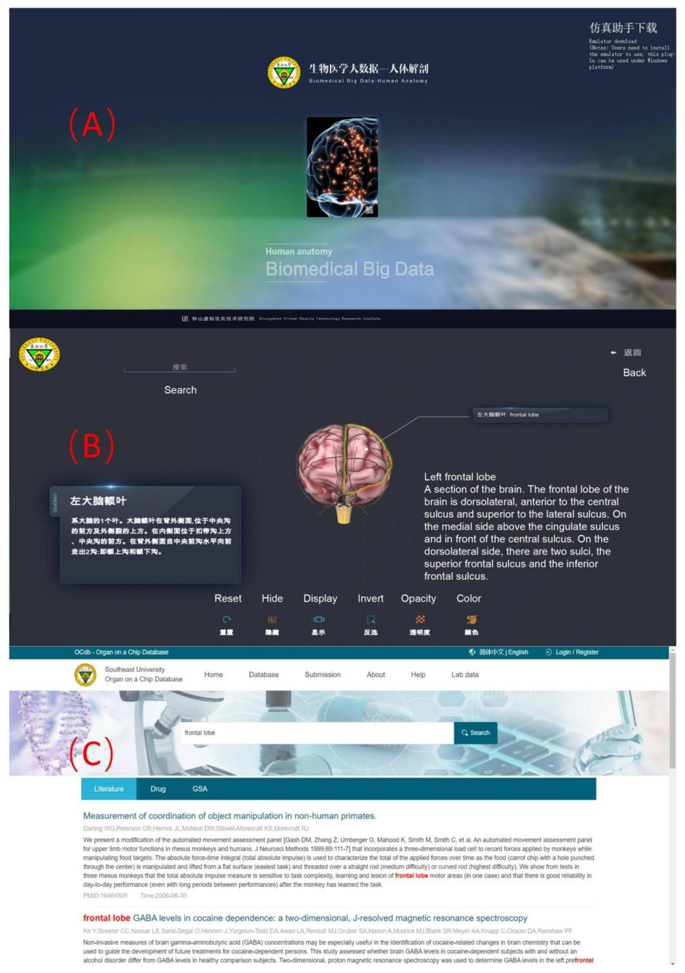 Brainsci 12 00638 g006 550