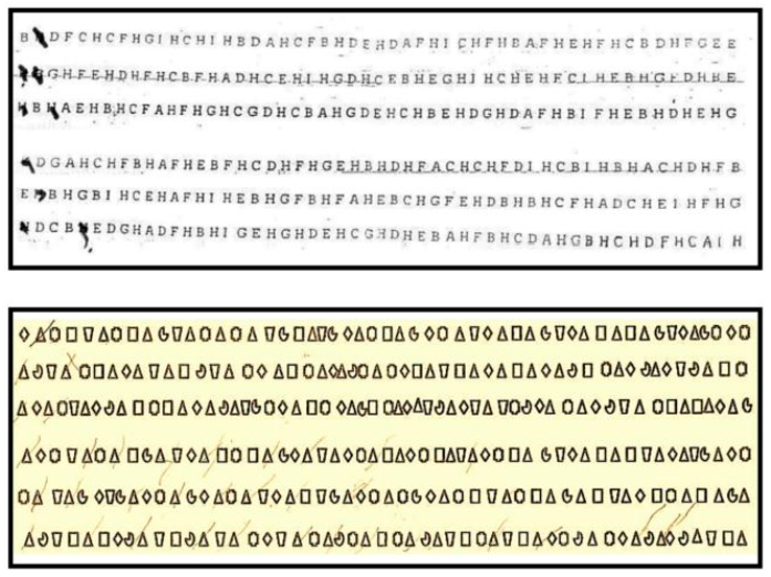 Brainsci 12 00640 g003