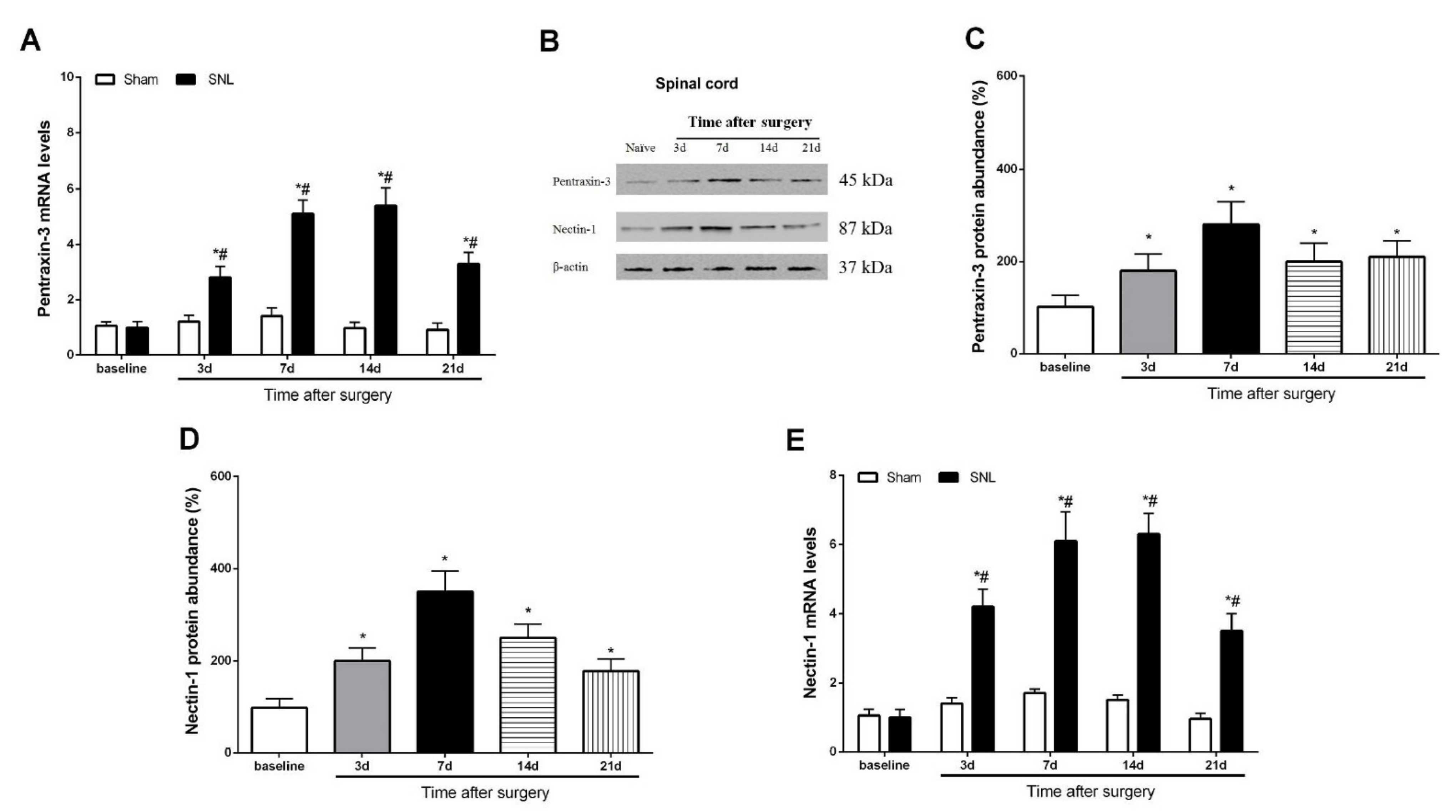 Brainsci 12 00648 g002
