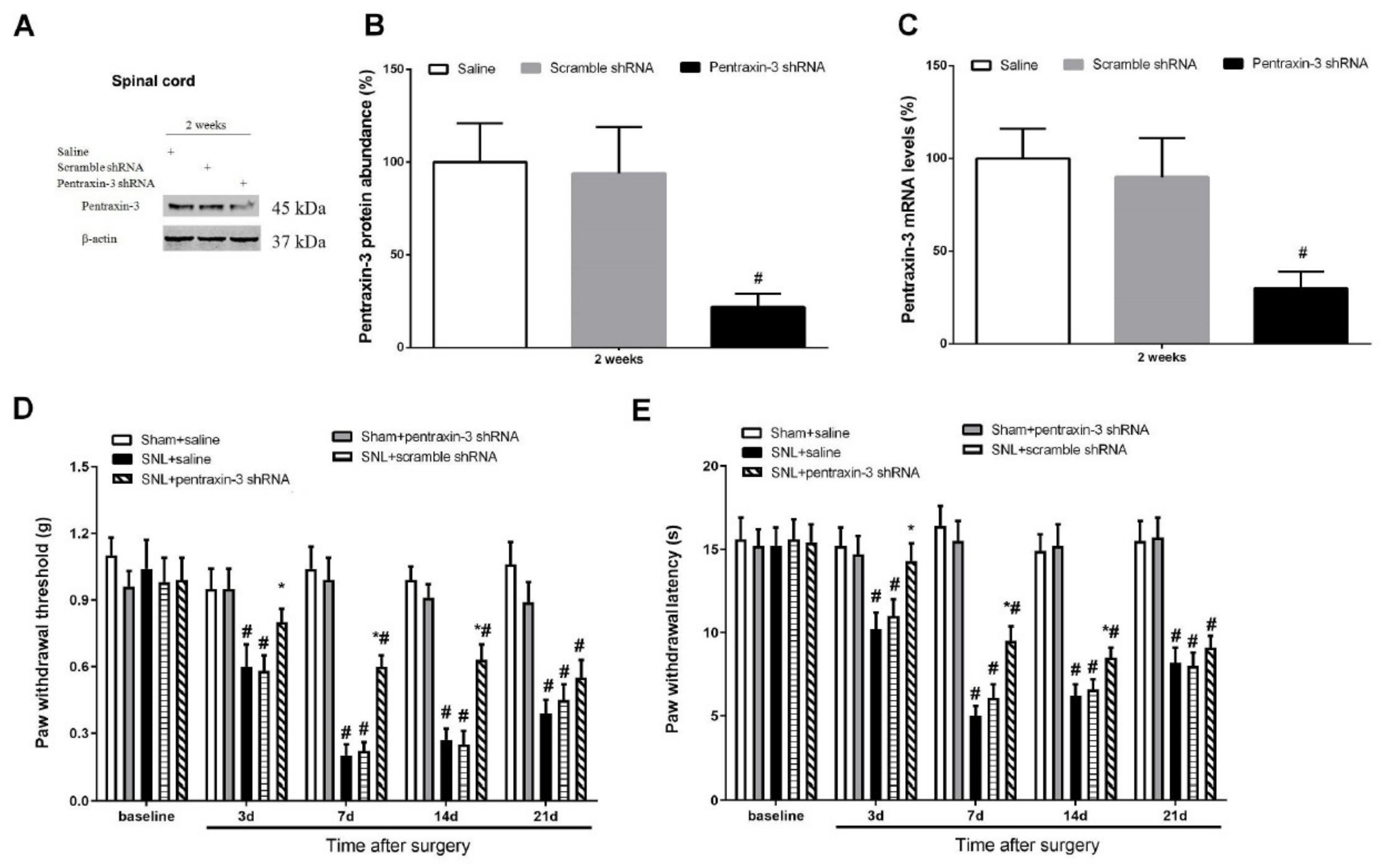 Brainsci 12 00648 g003