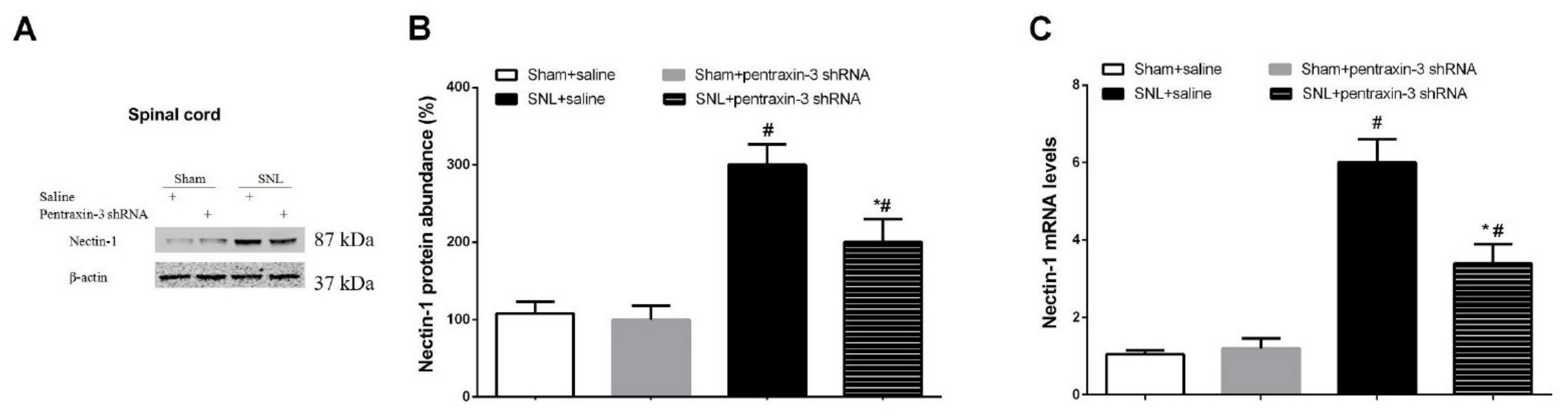 Brainsci 12 00648 g004