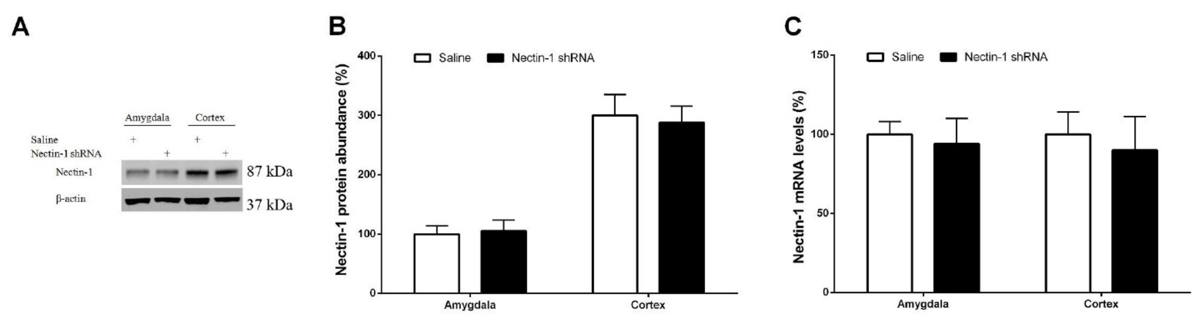 Brainsci 12 00648 g007
