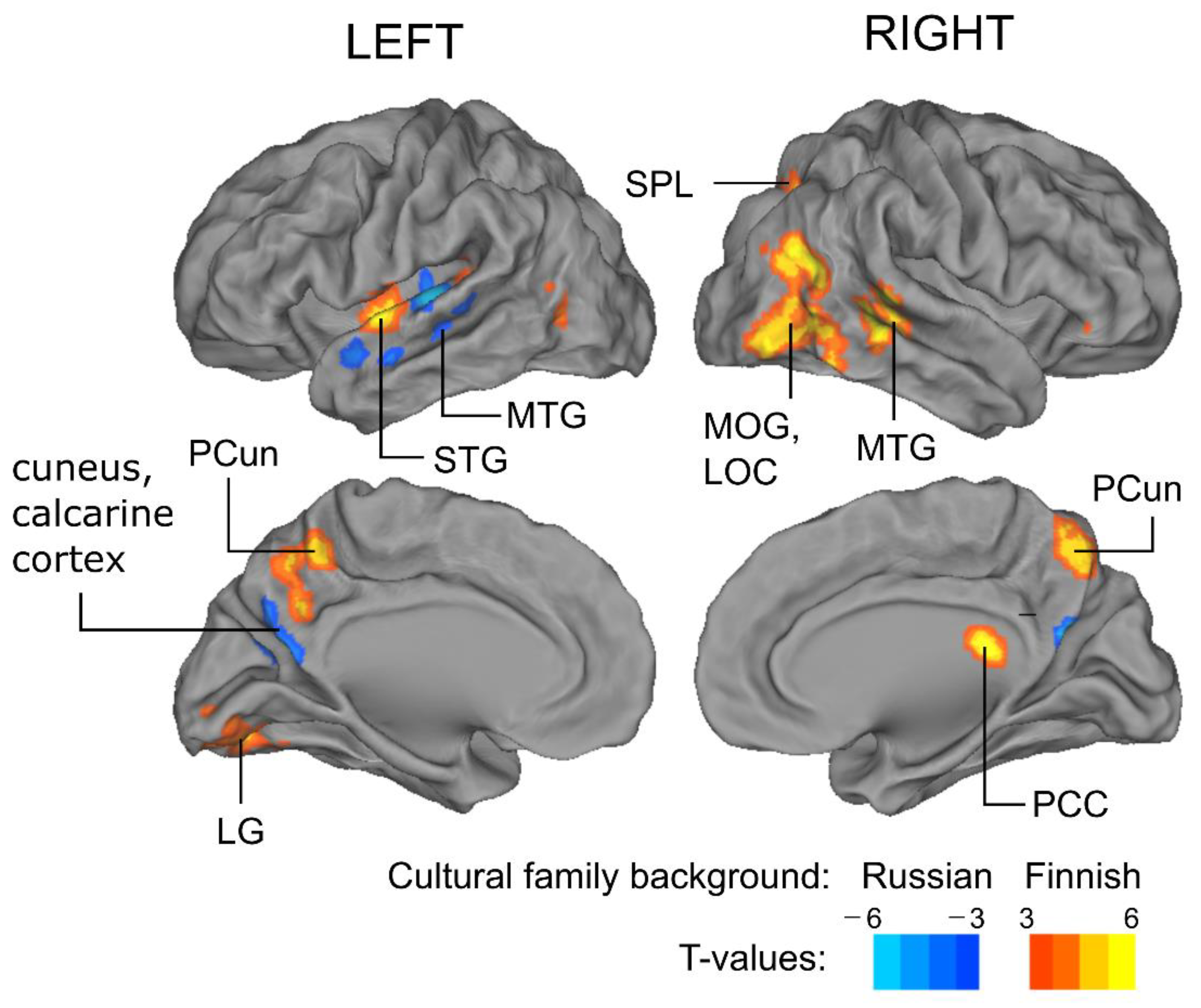 Brainsci 12 00649 g002