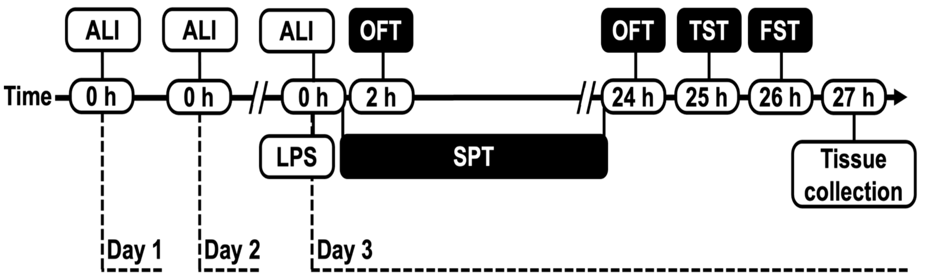 Brainsci 12 00655 g001