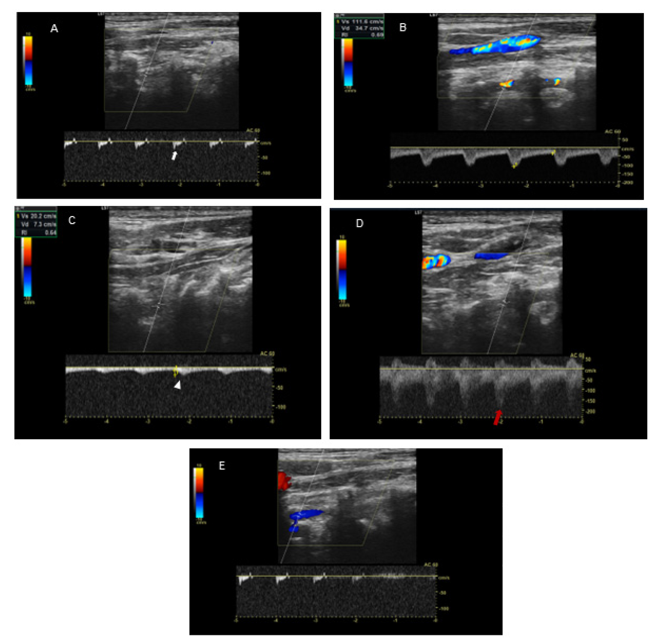 Brainsci 12 00657 g001 550