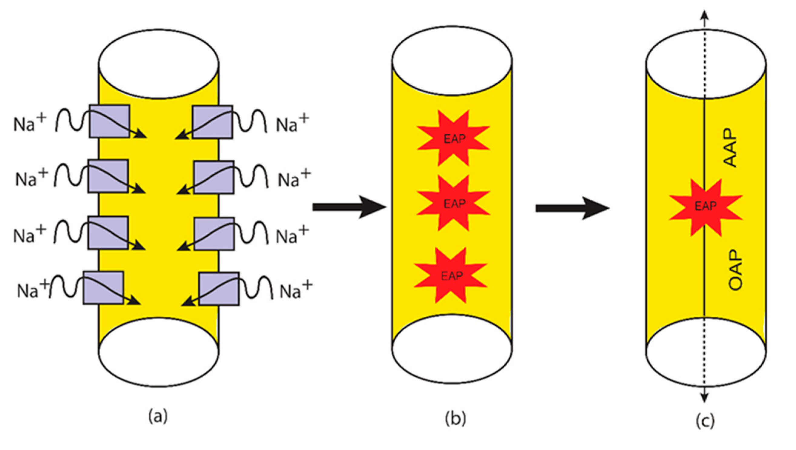 Brainsci 12 00658 g006 Brainsci 12 00658 g006