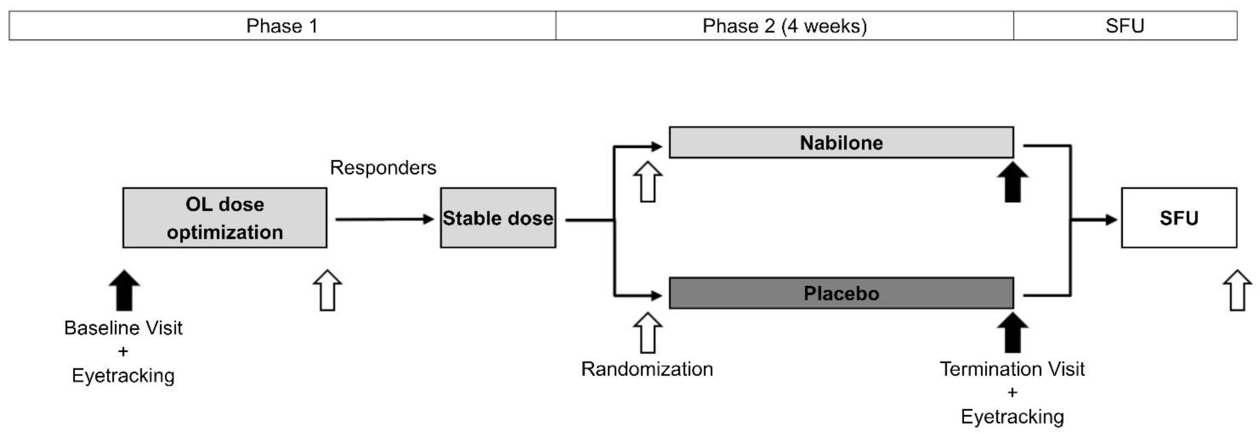 Brainsci 12 00661 g001