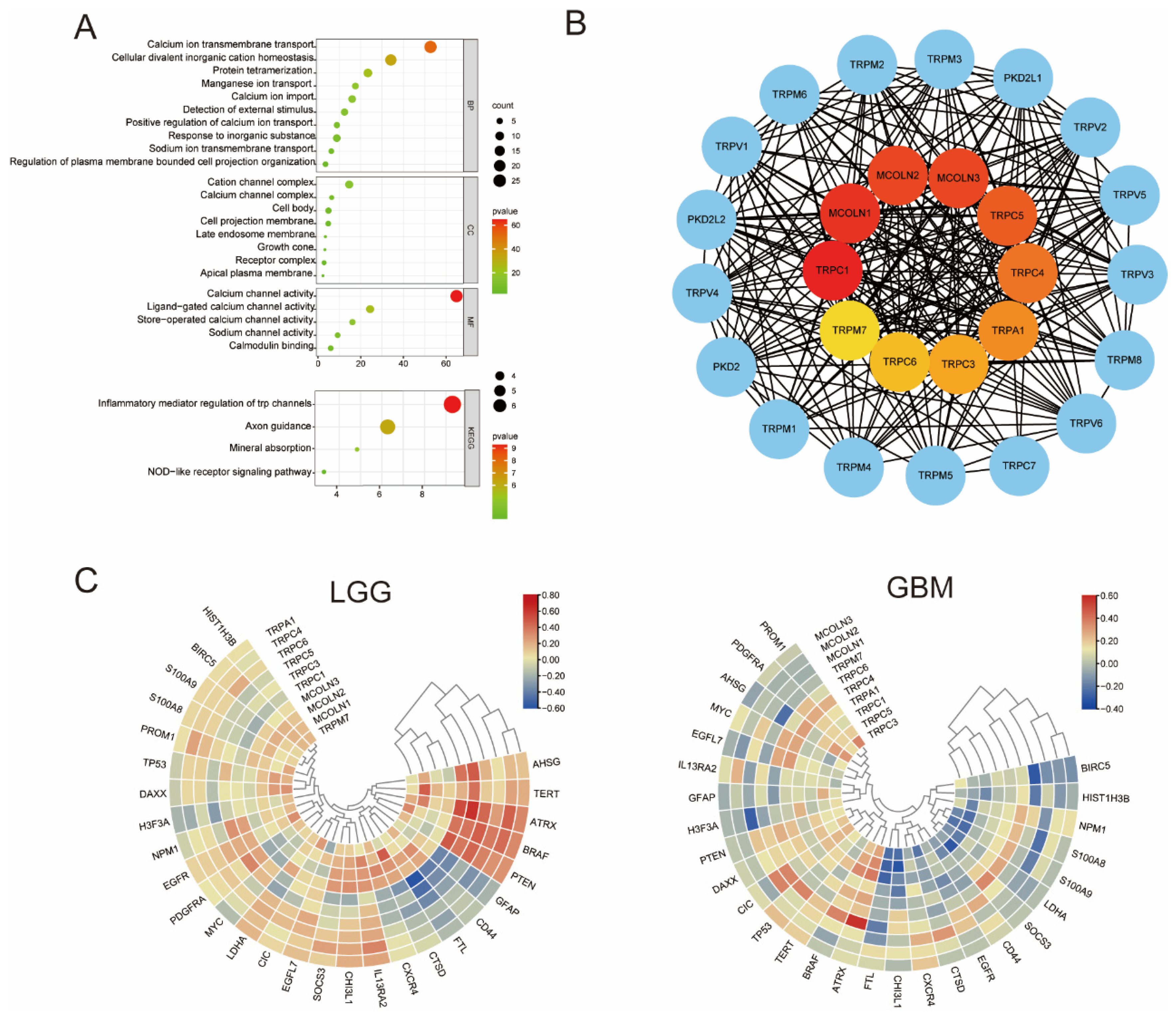 Brainsci 12 00662 g002