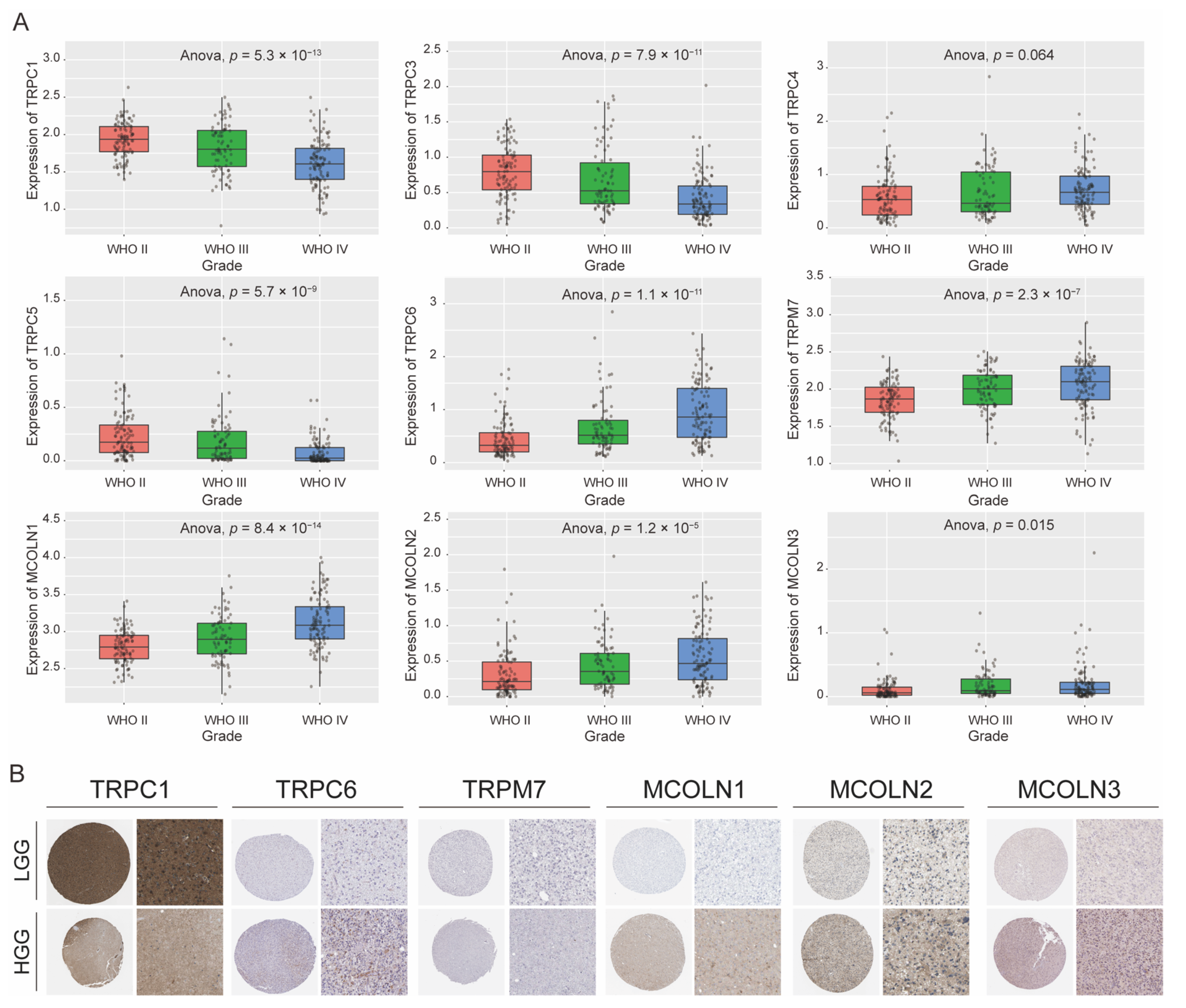 Brainsci 12 00662 g004