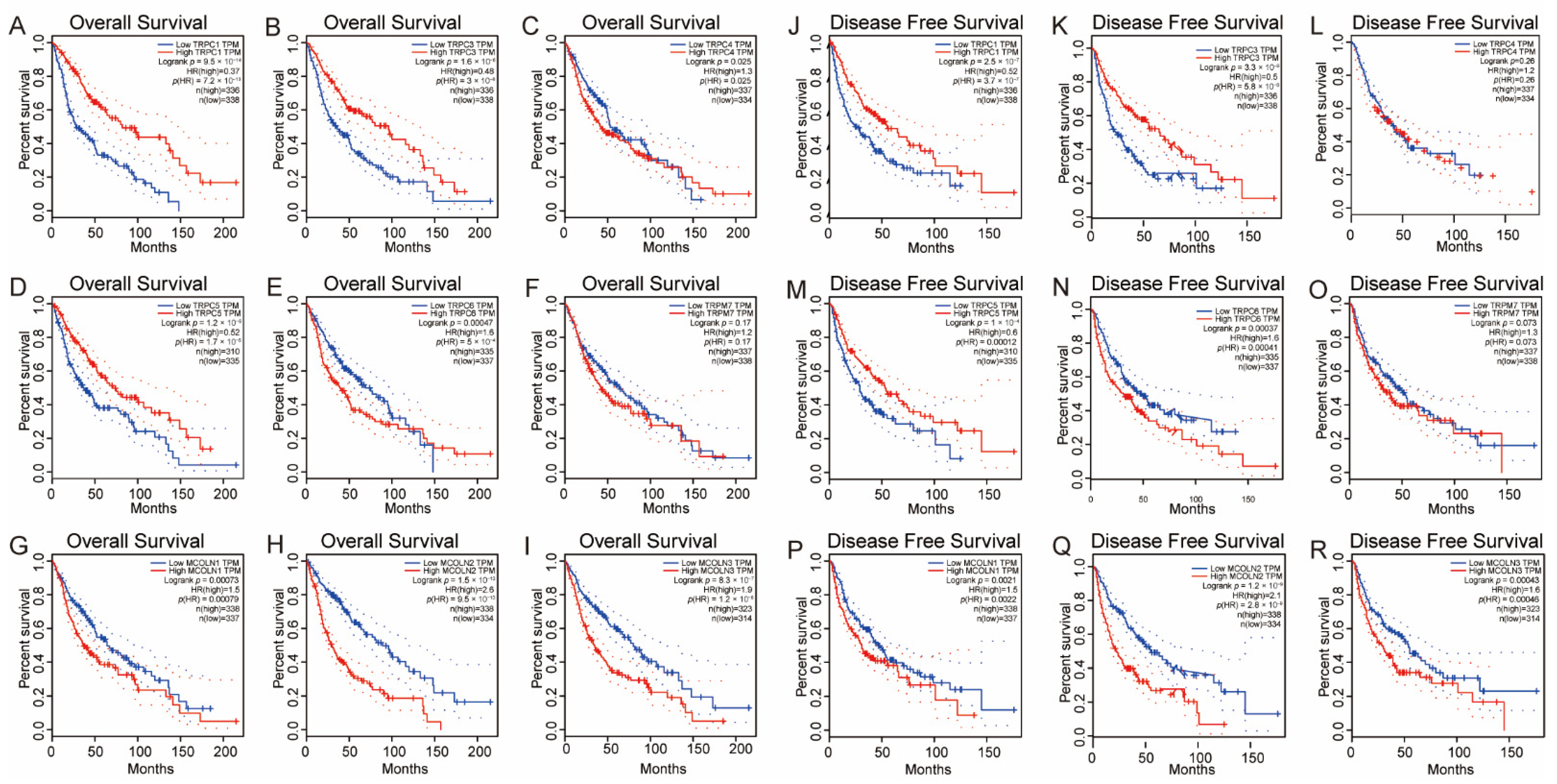 Brainsci 12 00662 g005
