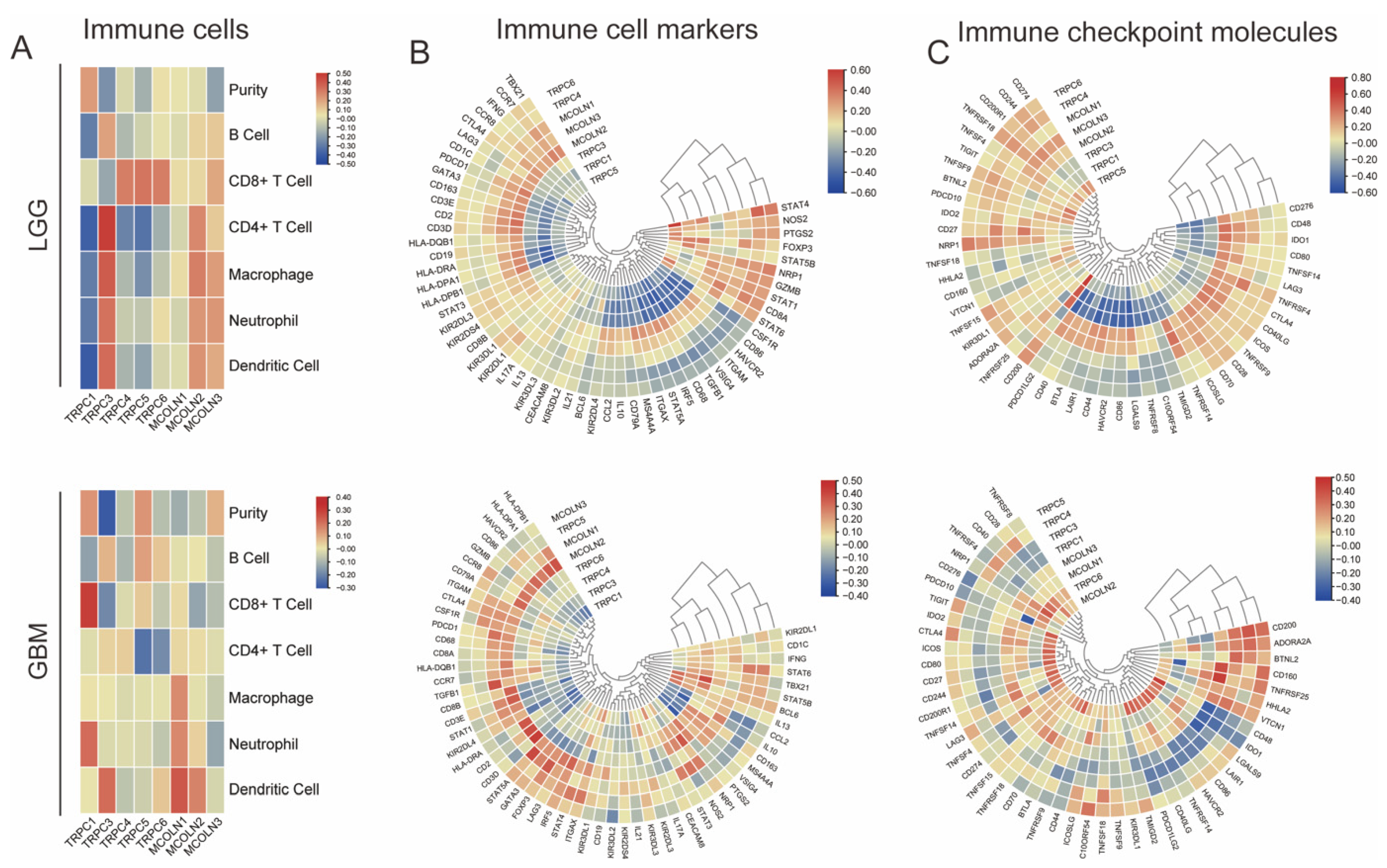 Brainsci 12 00662 g007
