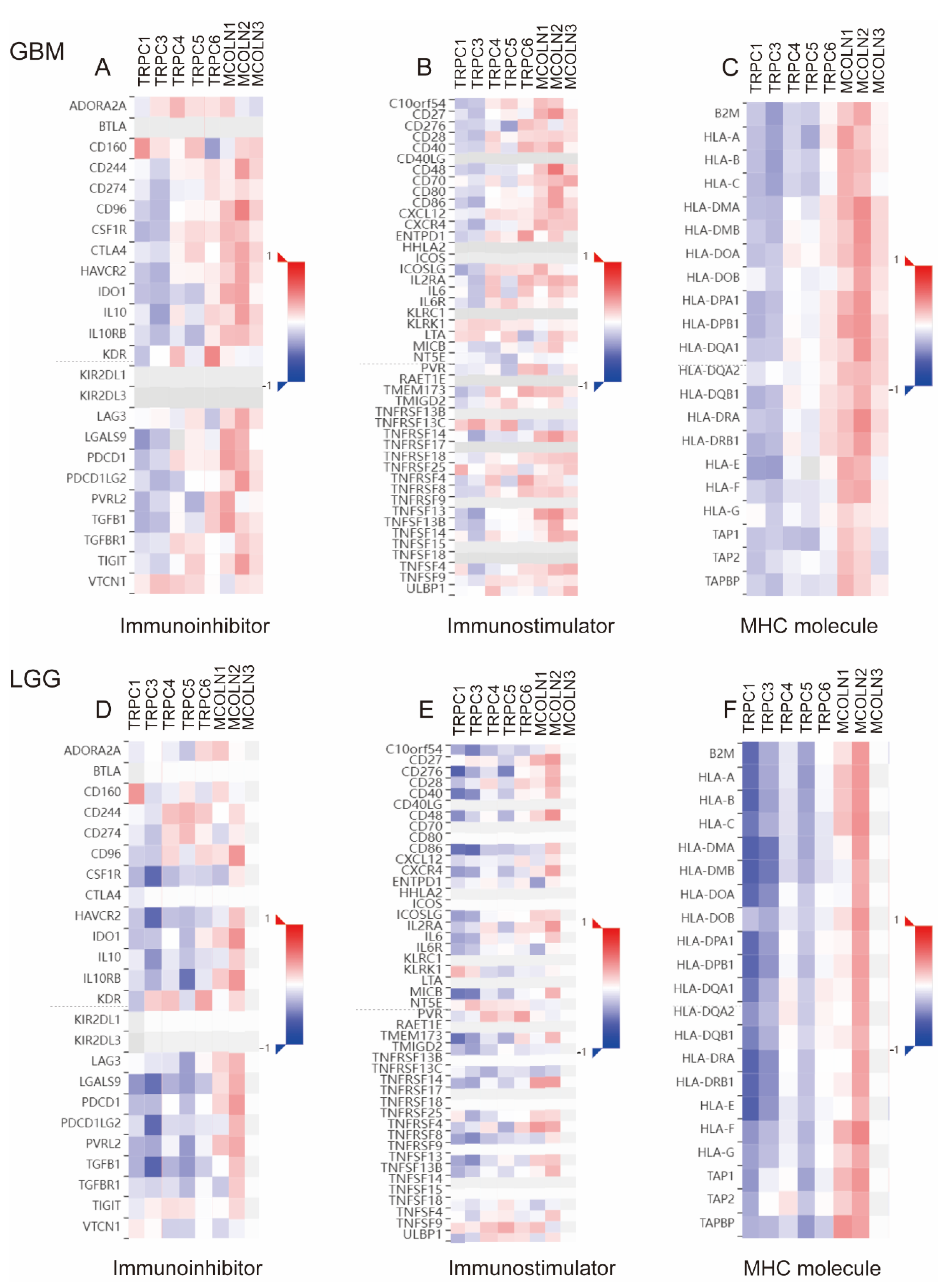 Brainsci 12 00662 g008