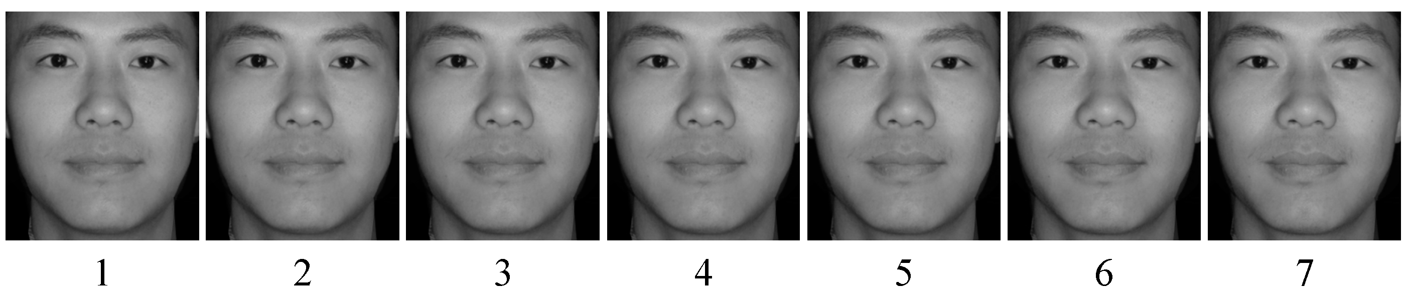 Brainsci 12 00665 g001