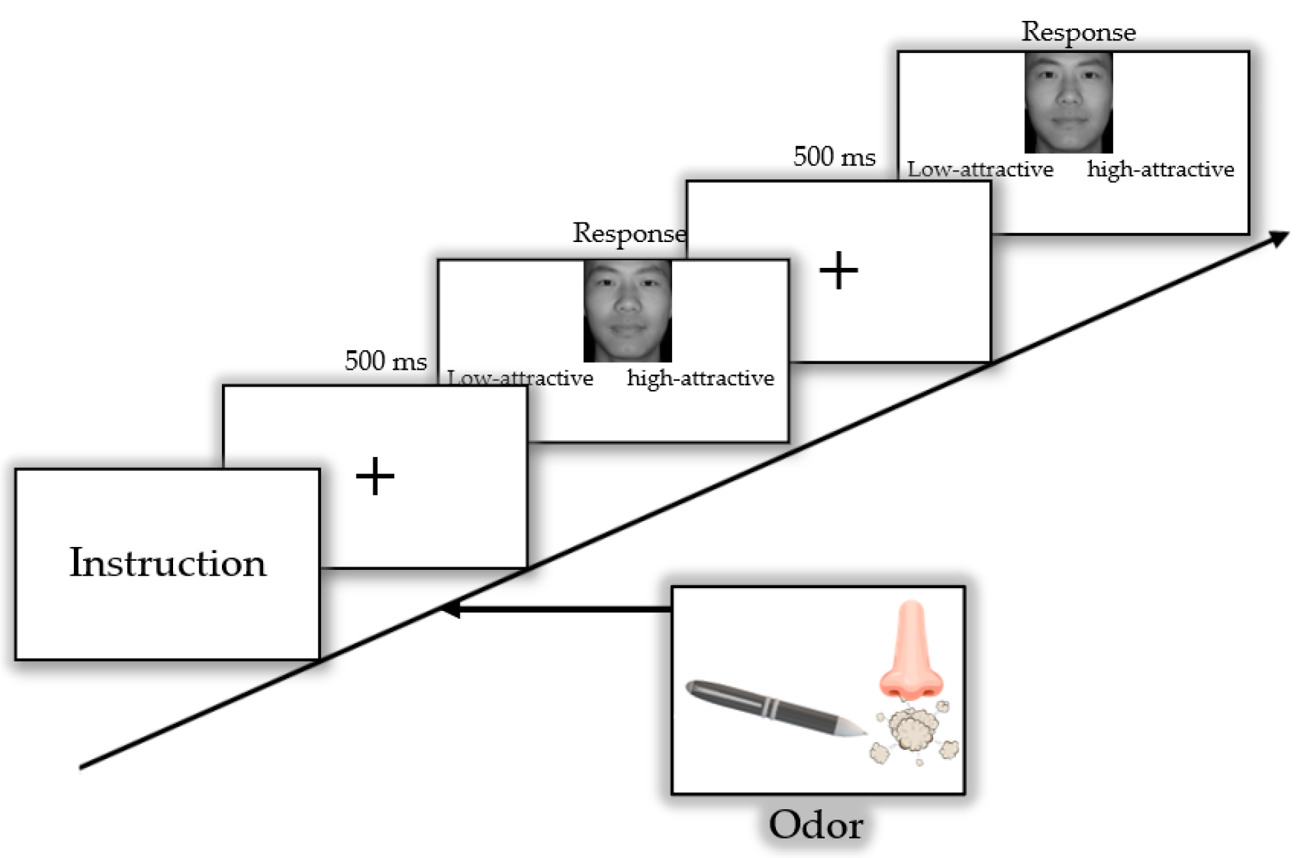 Brainsci 12 00665 g002