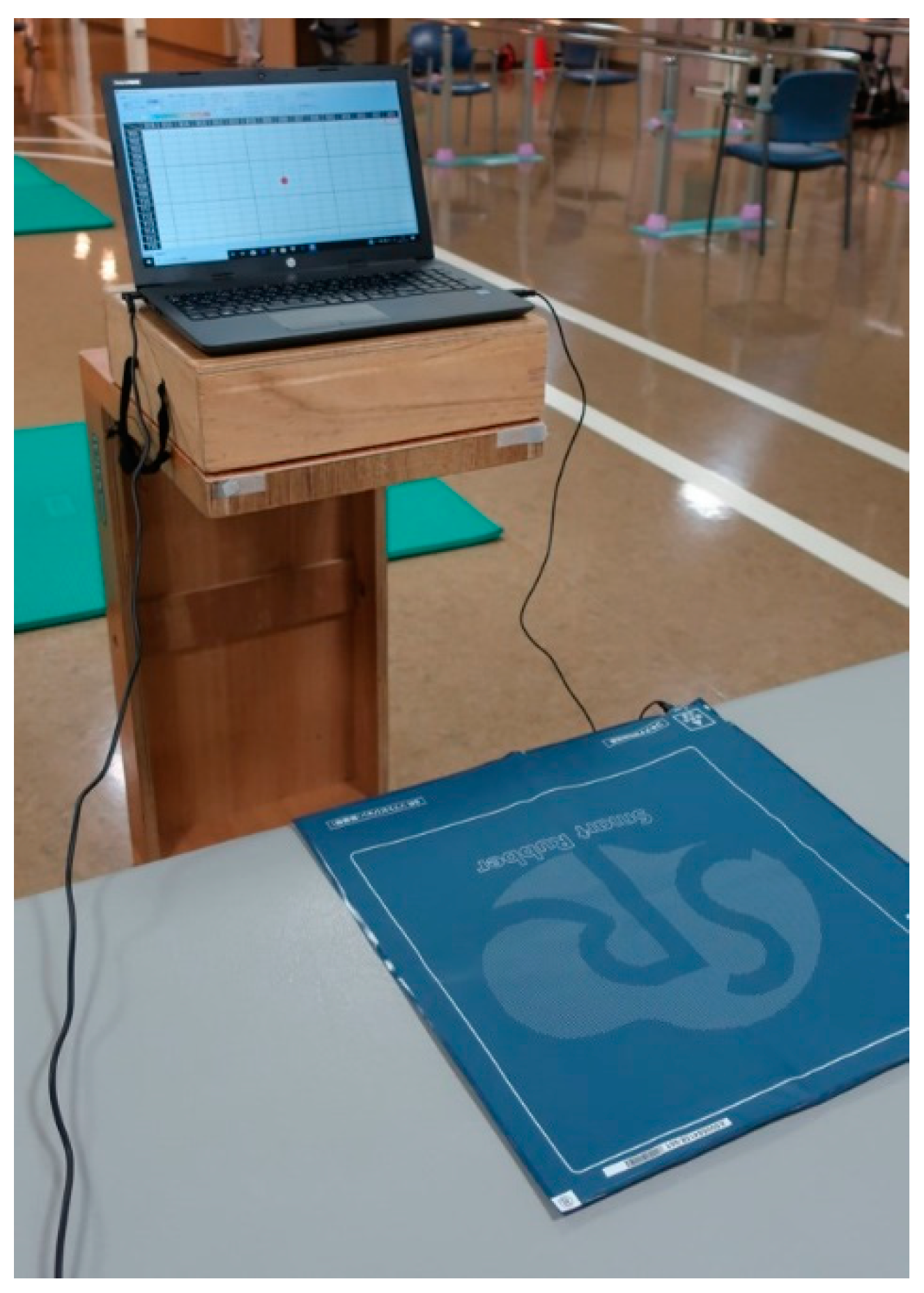 Brainsci 12 00670 g001