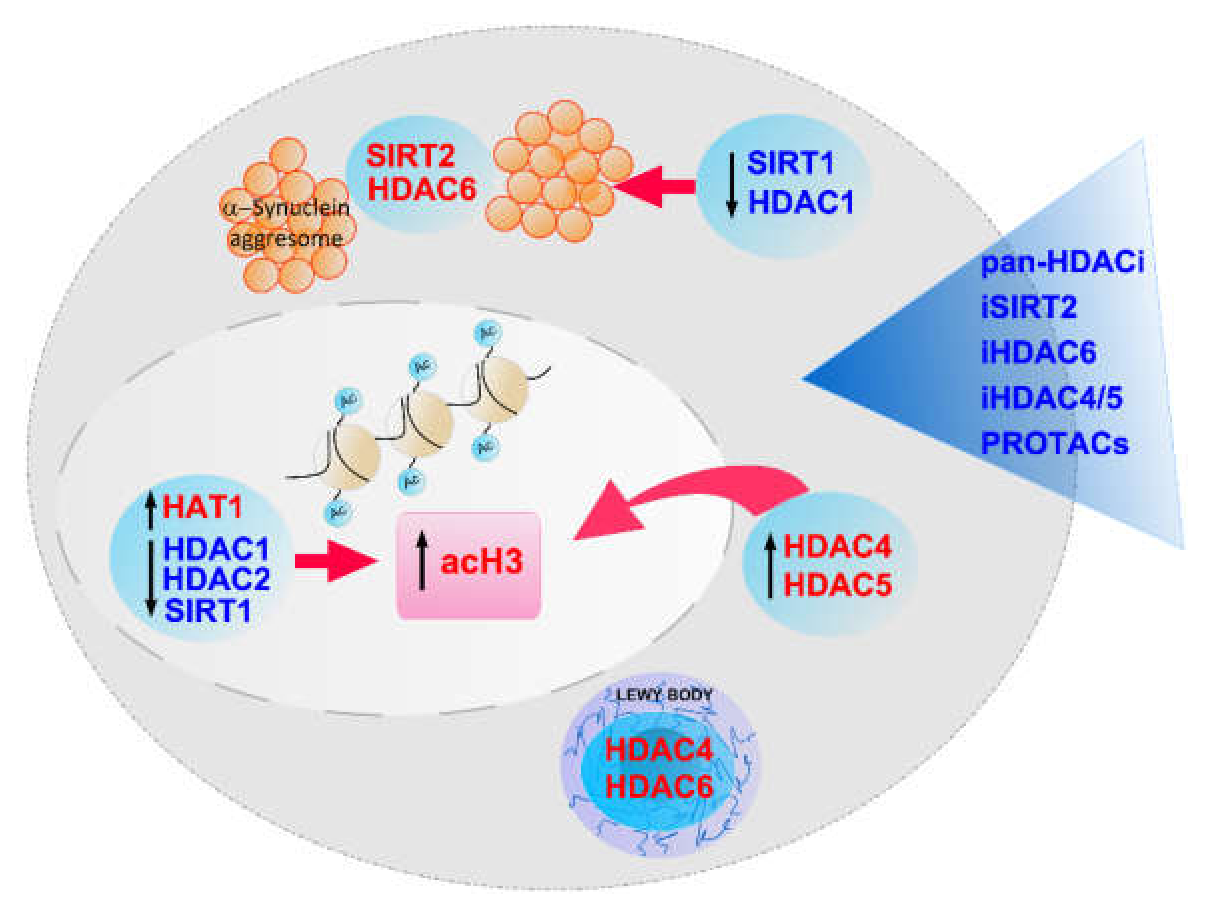 Brainsci 12 00672 g003