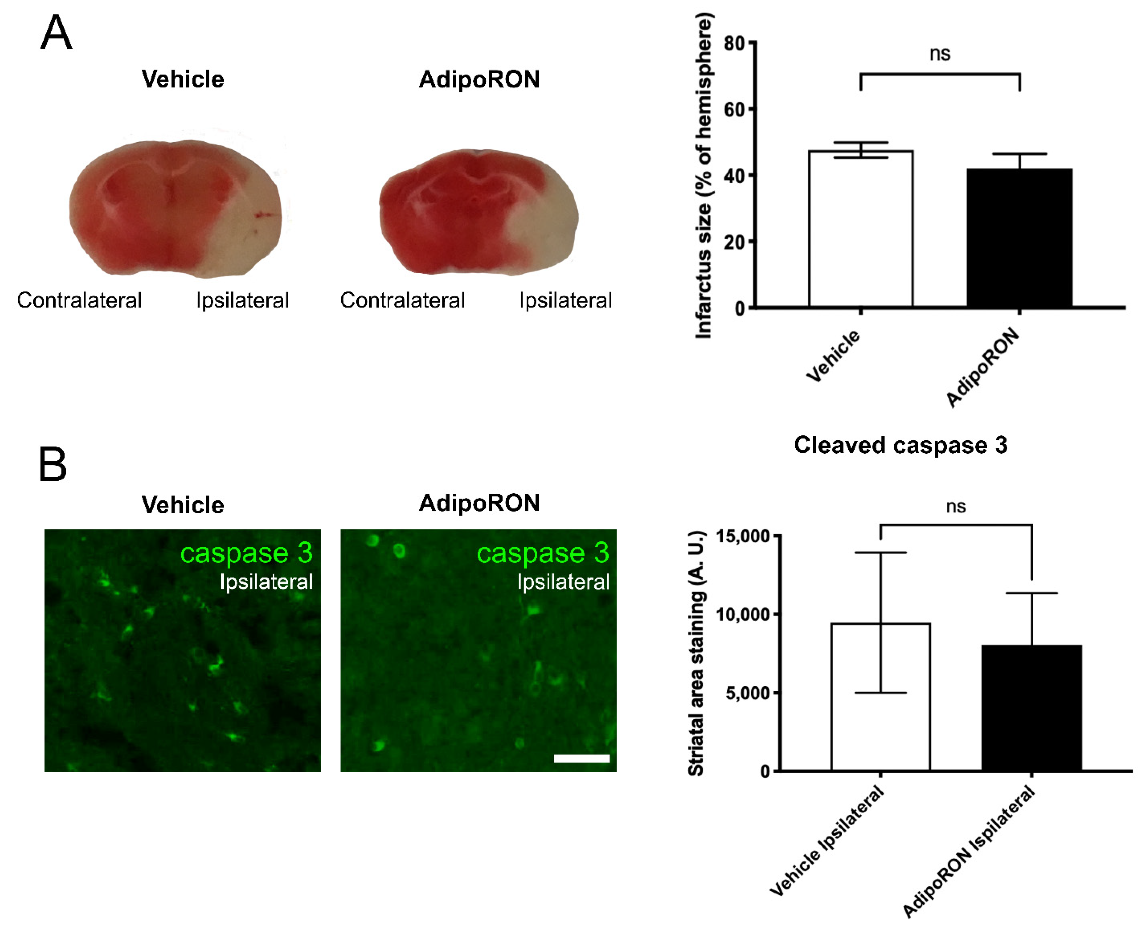 Brainsci 12 00680 g006