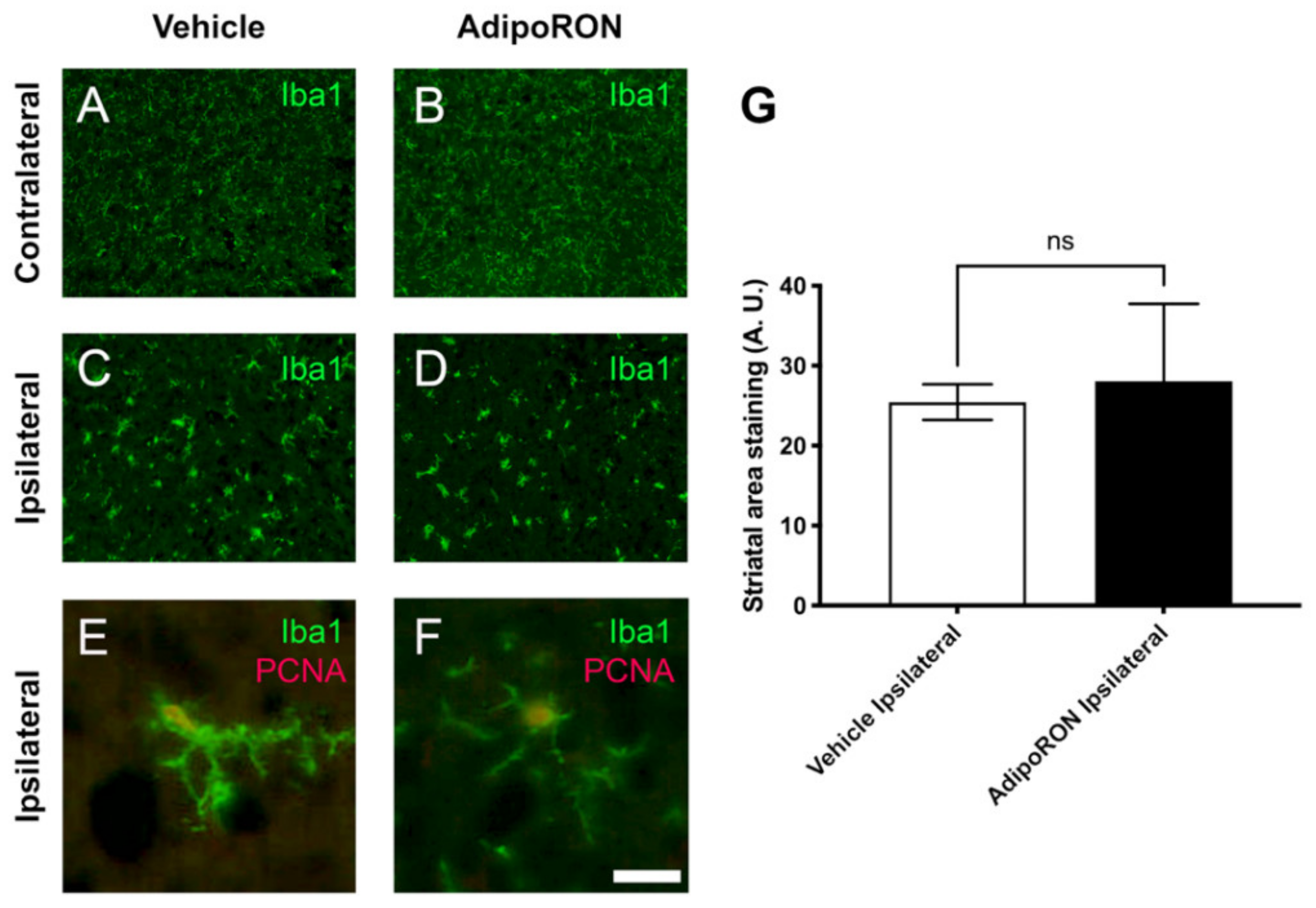 Brainsci 12 00680 g007