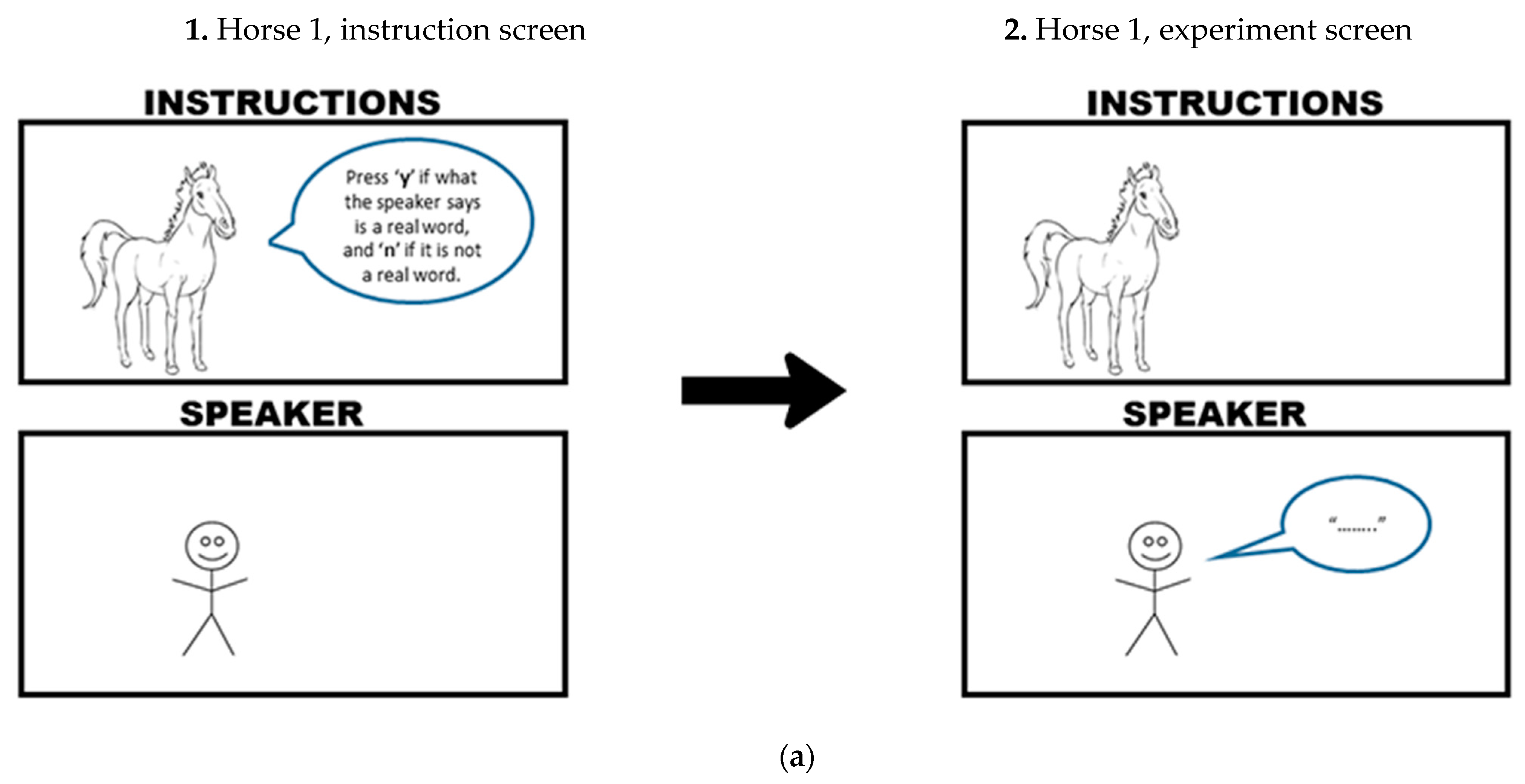 Brainsci 12 00684 g004a 550