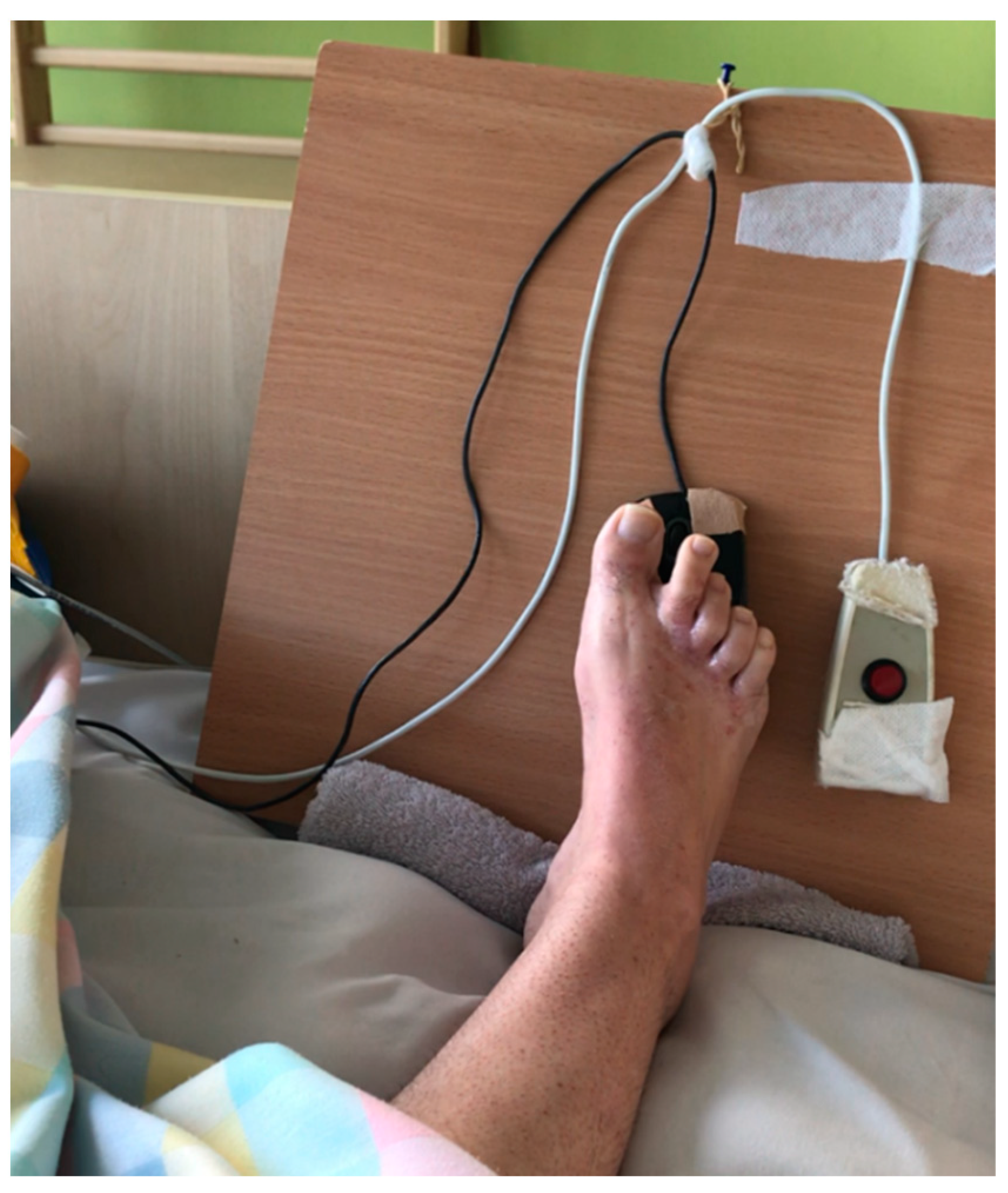 Brainsci 12 00688 g002