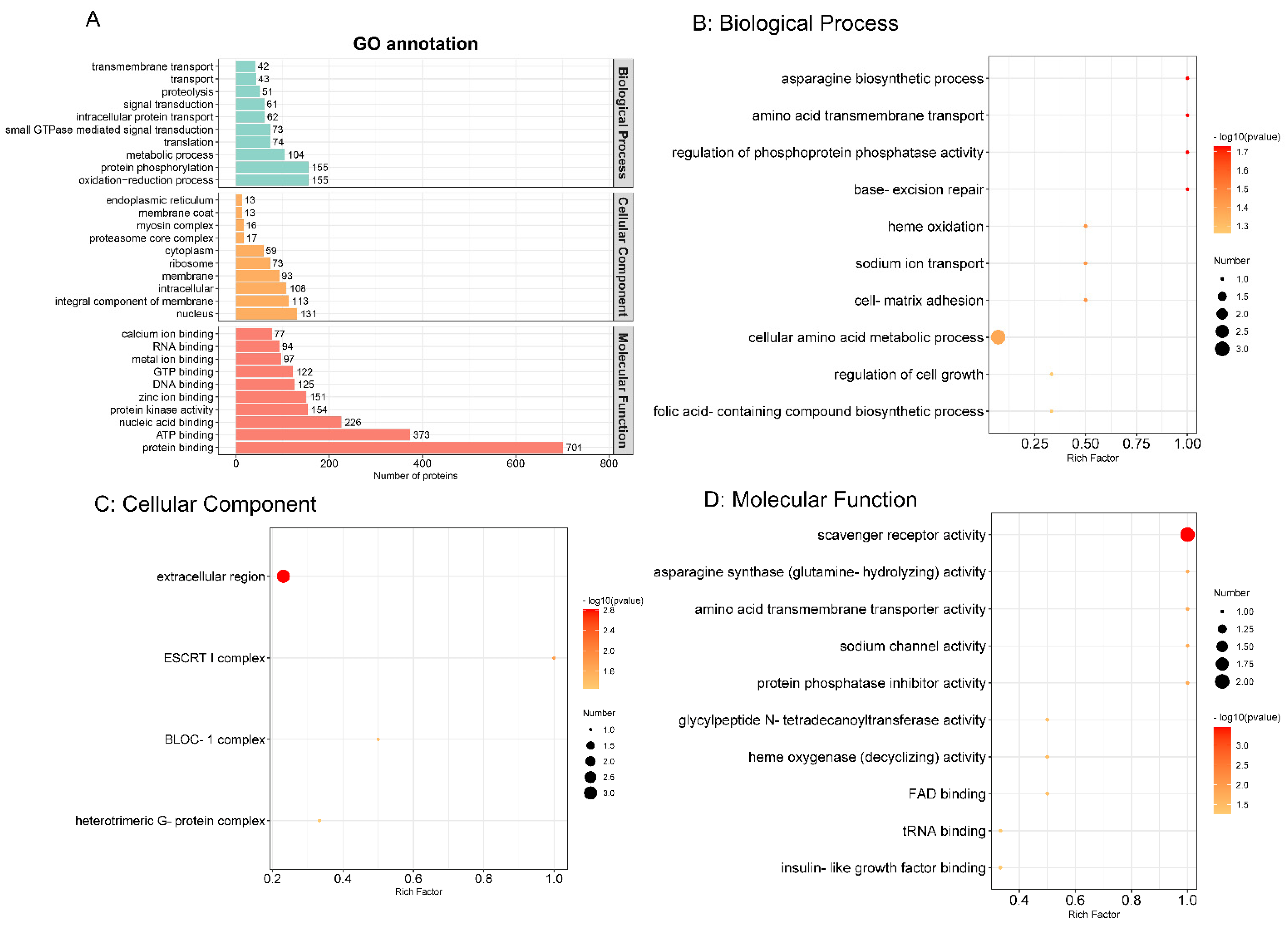 Brainsci 12 00690 g003