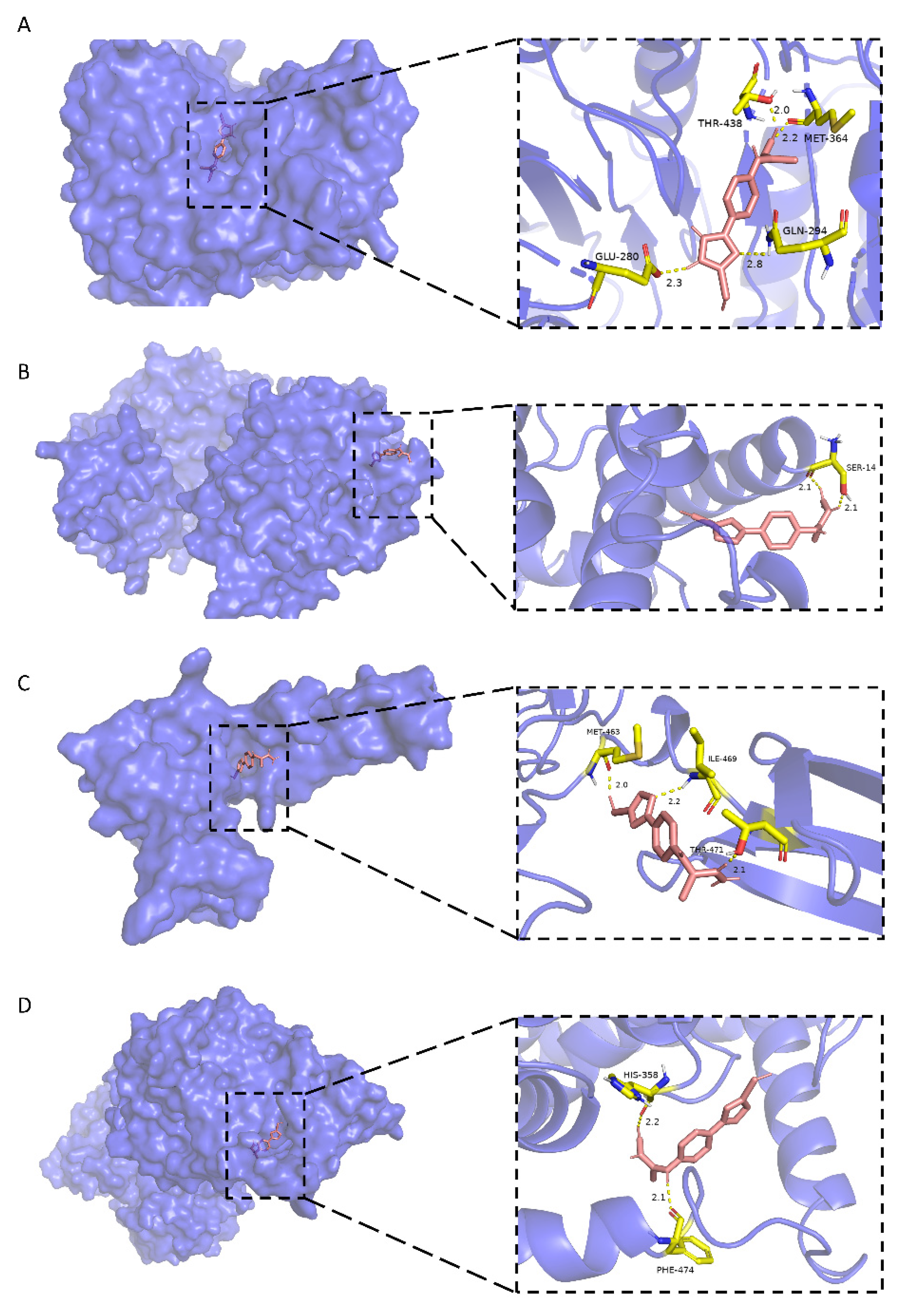 Brainsci 12 00690 g006