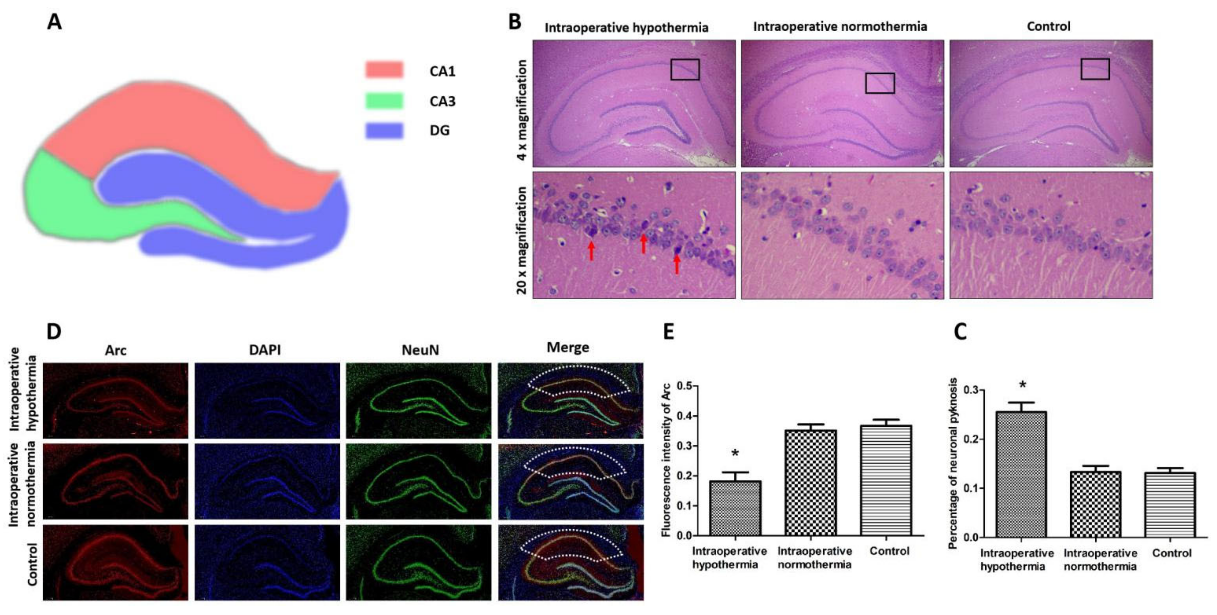 Brainsci 12 00692 g004