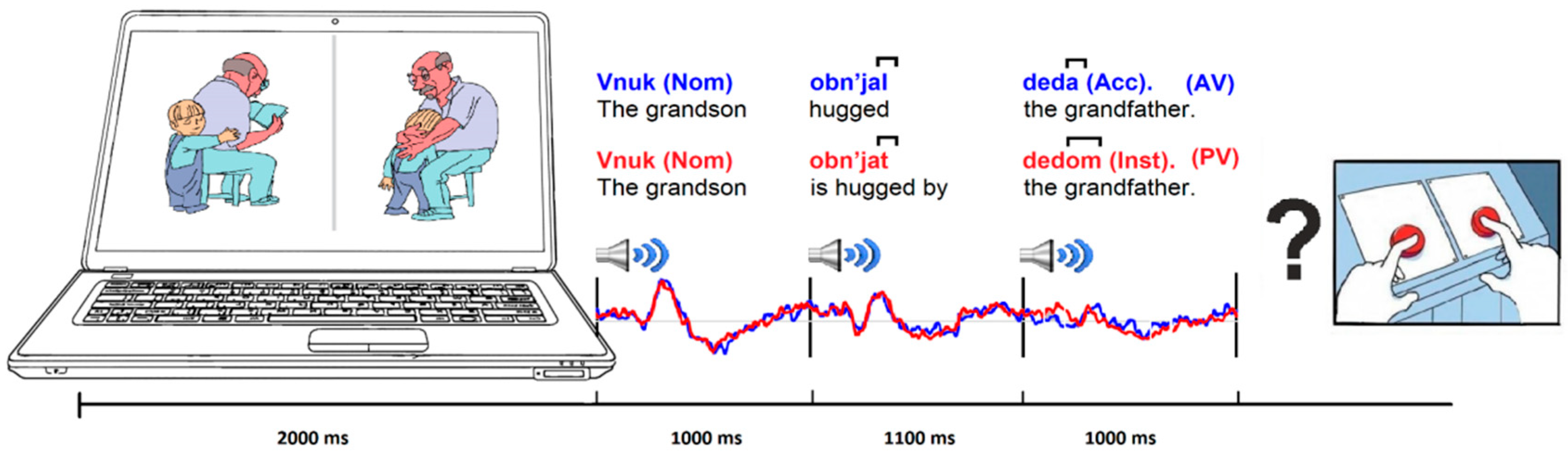 Brainsci 12 00693 g001 Brainsci 12 00693 g001