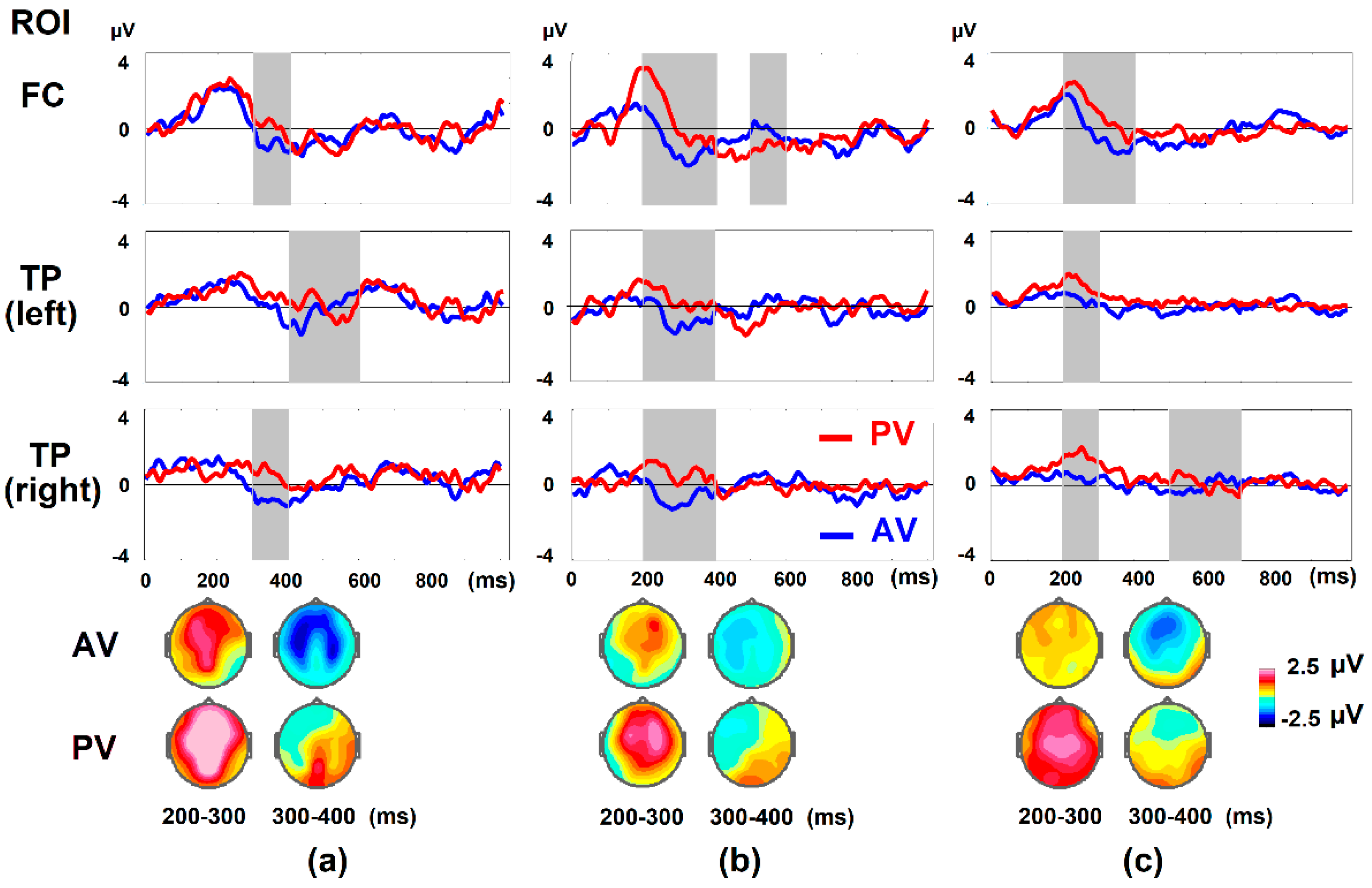 Brainsci 12 00693 g003 Brainsci 12 00693 g003
