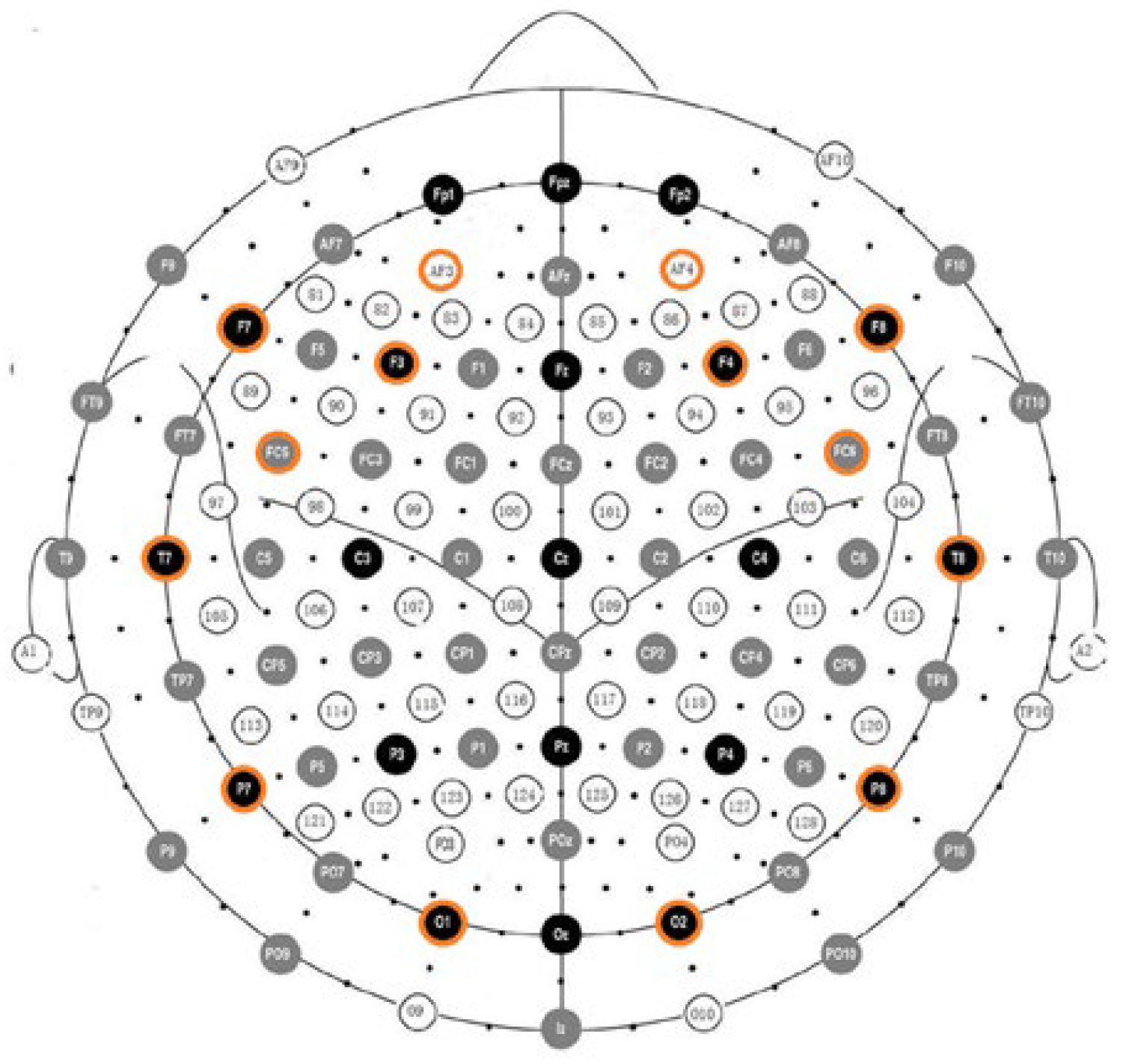 Brainsci 12 00704 g001