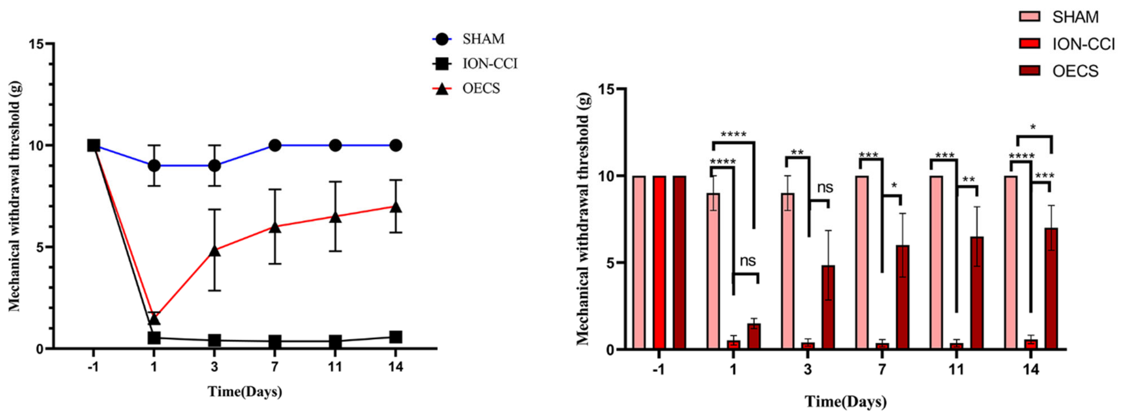 Brainsci 12 00706 g003