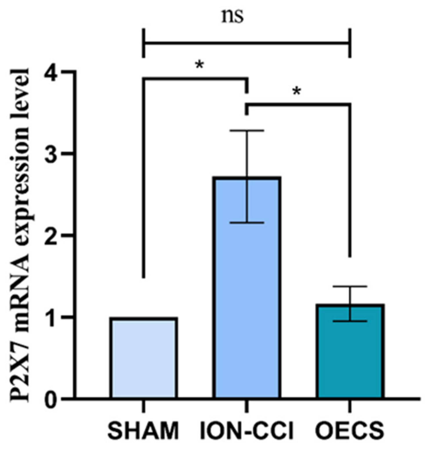 Brainsci 12 00706 g005