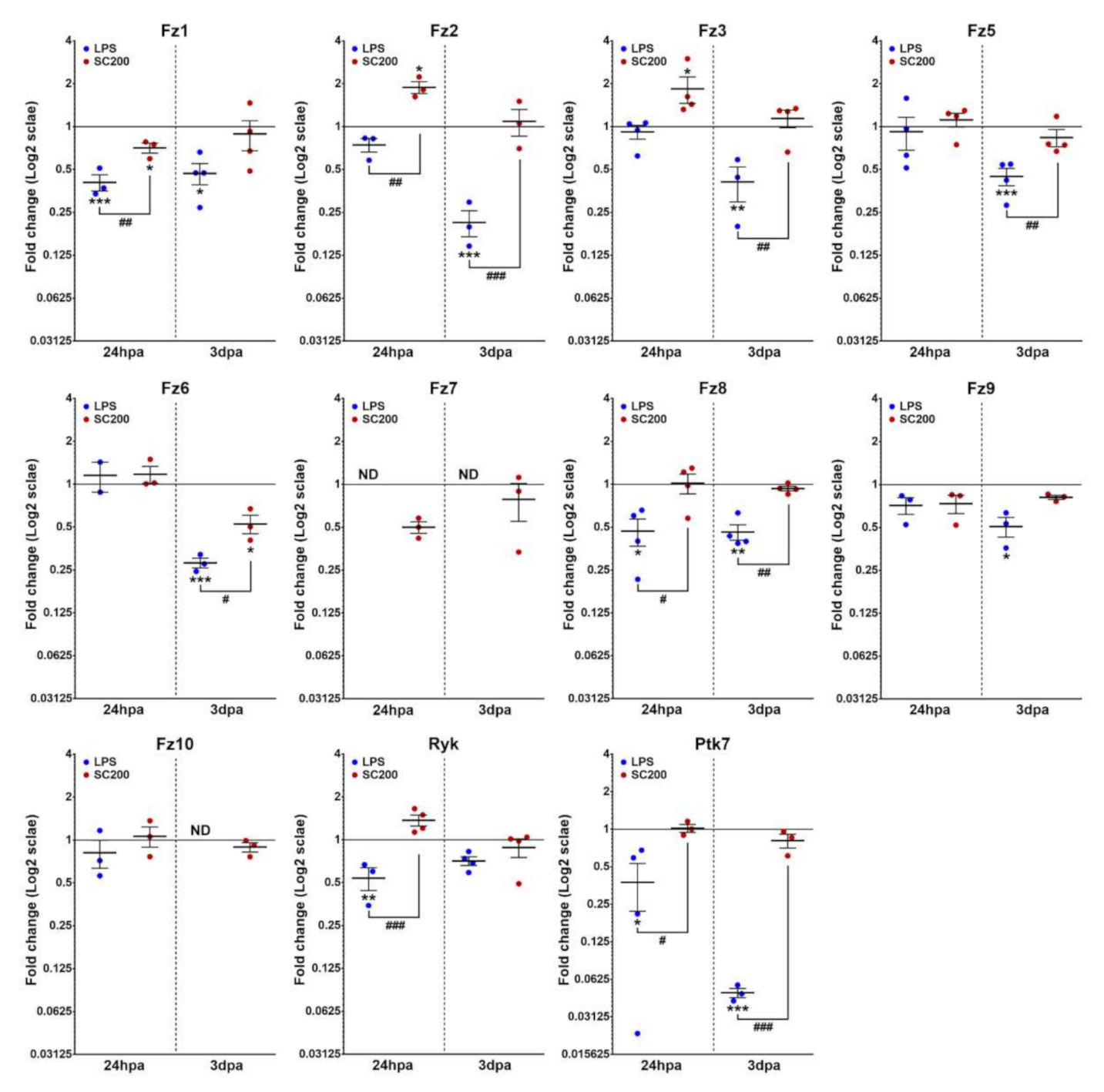 Brainsci 12 00708 g003