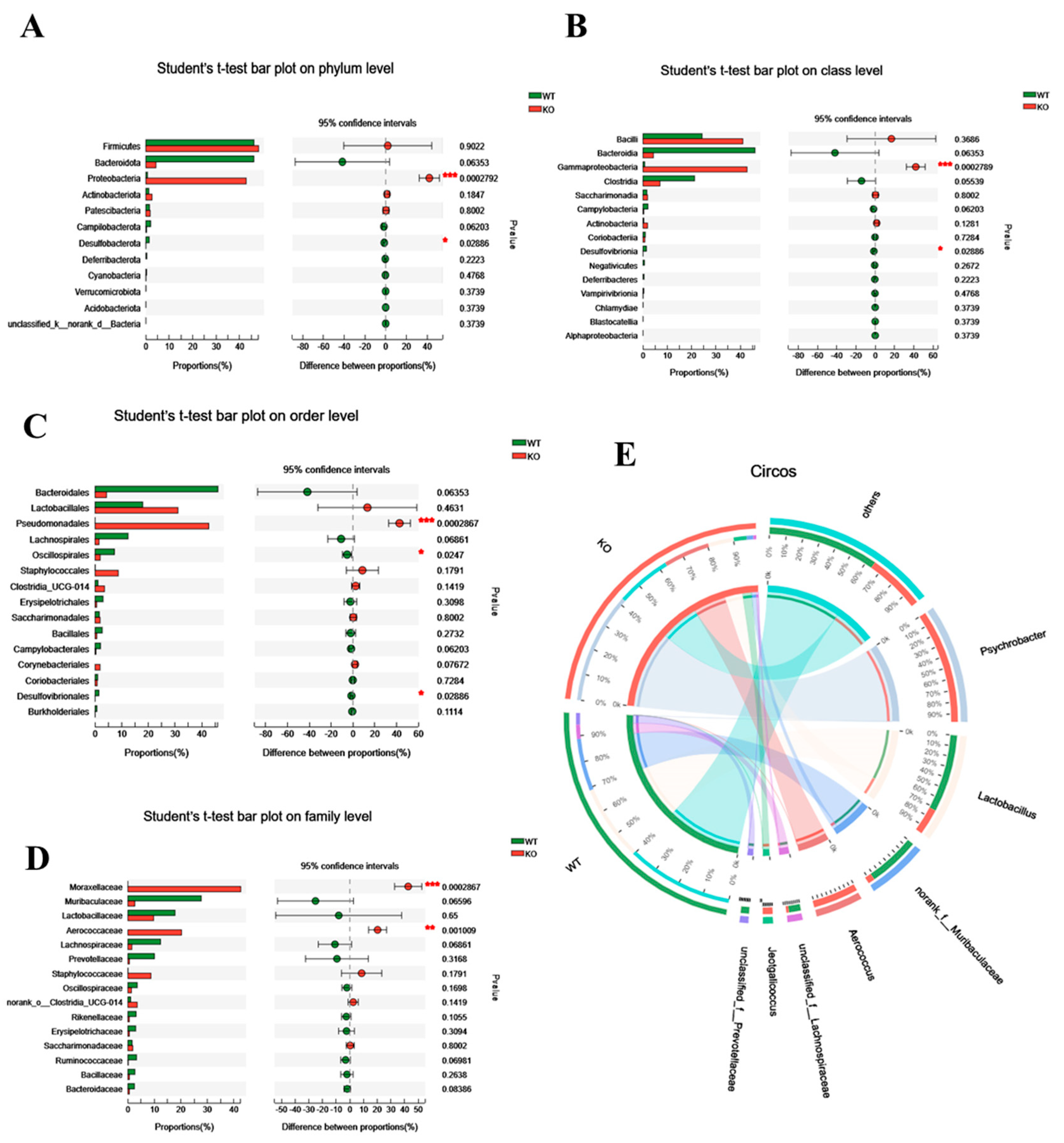 Brainsci 12 00709 g002
