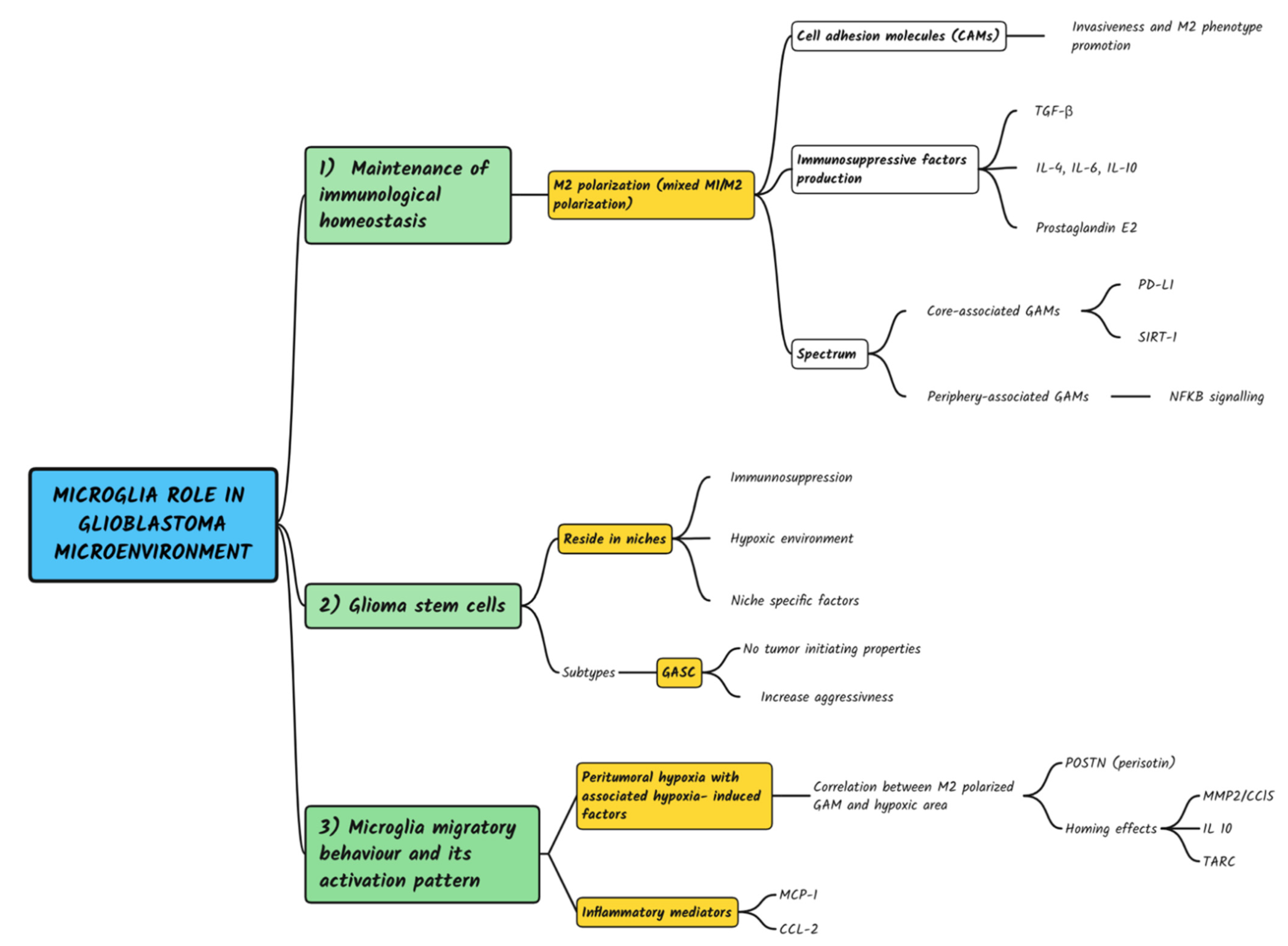 Brainsci 12 00718 g002