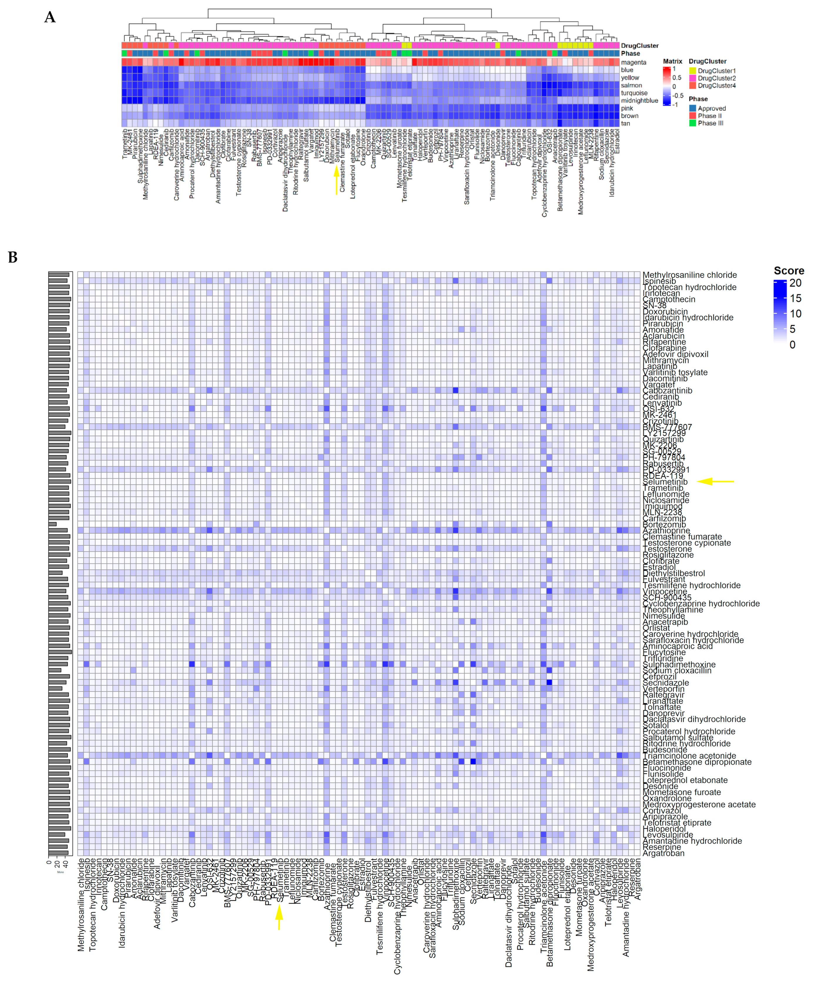 Brainsci 12 00720 g004a