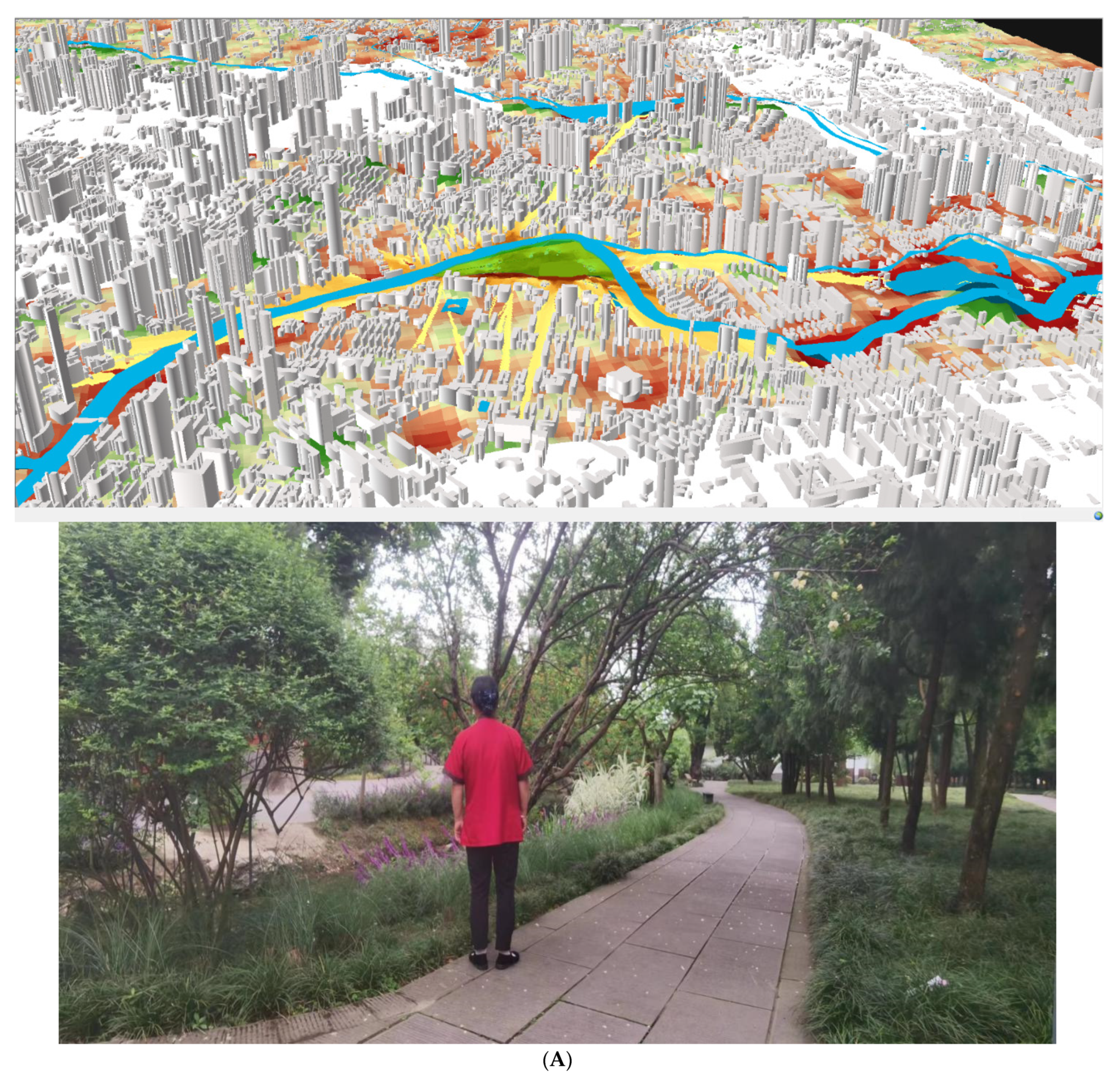 Brainsci 12 00721 g002a