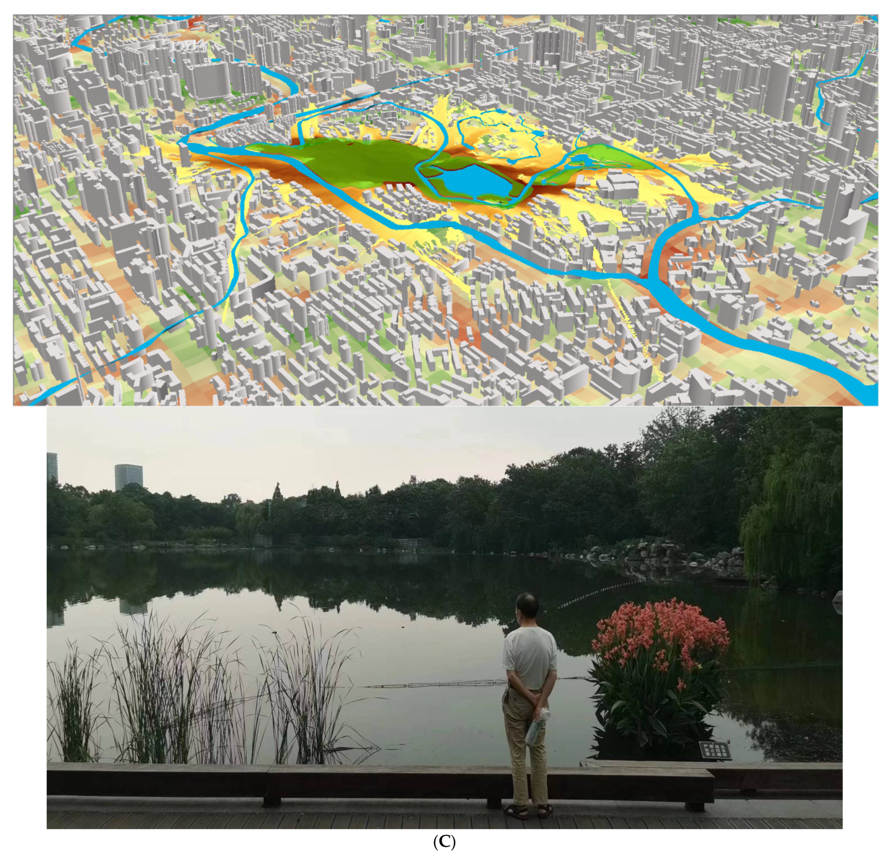 Brainsci 12 00721 g002c