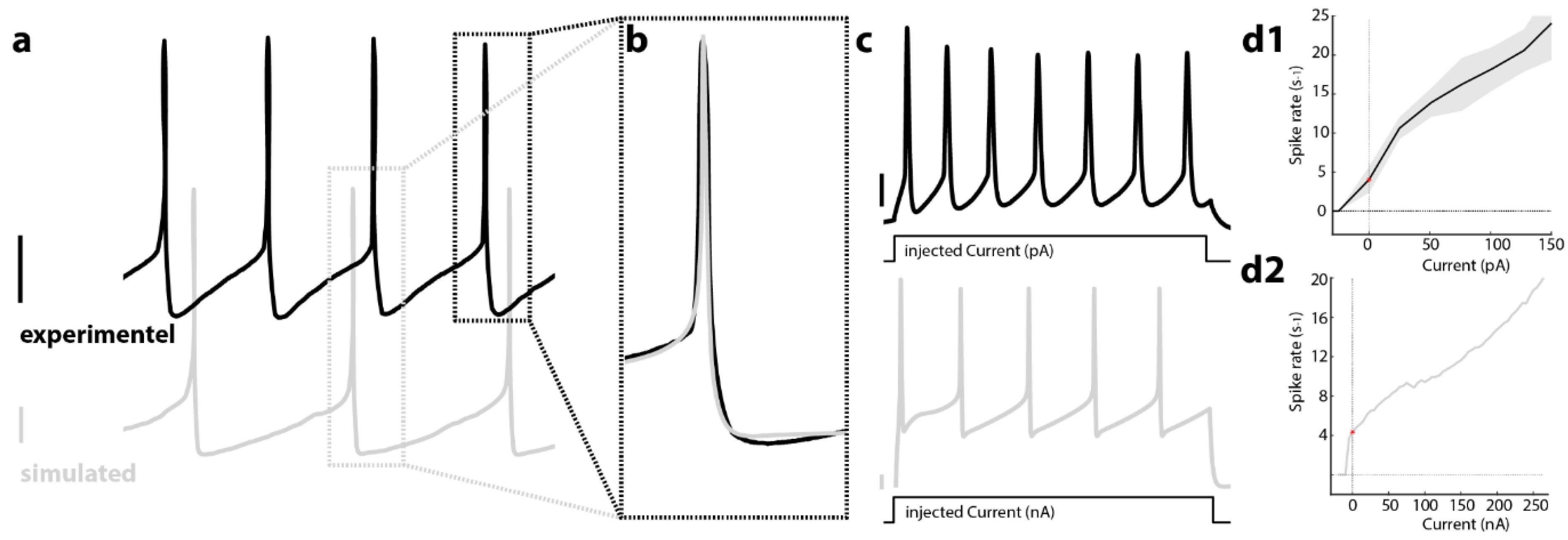 Brainsci 12 00728 g003 550