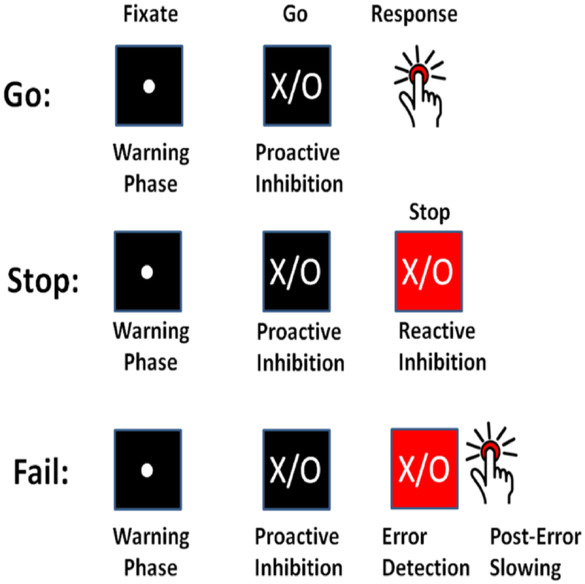 Brainsci 12 00730 g001 Brainsci 12 00730 g001