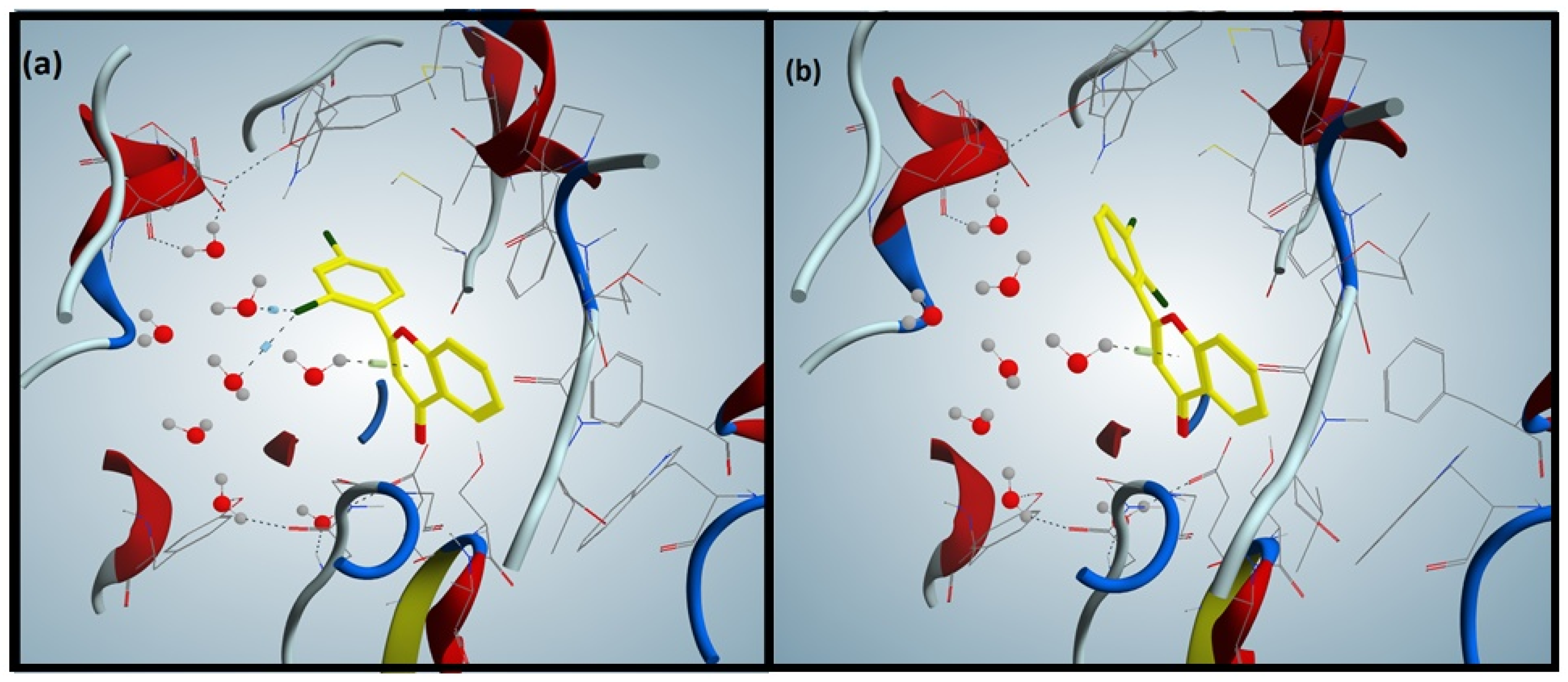 Brainsci 12 00731 g002