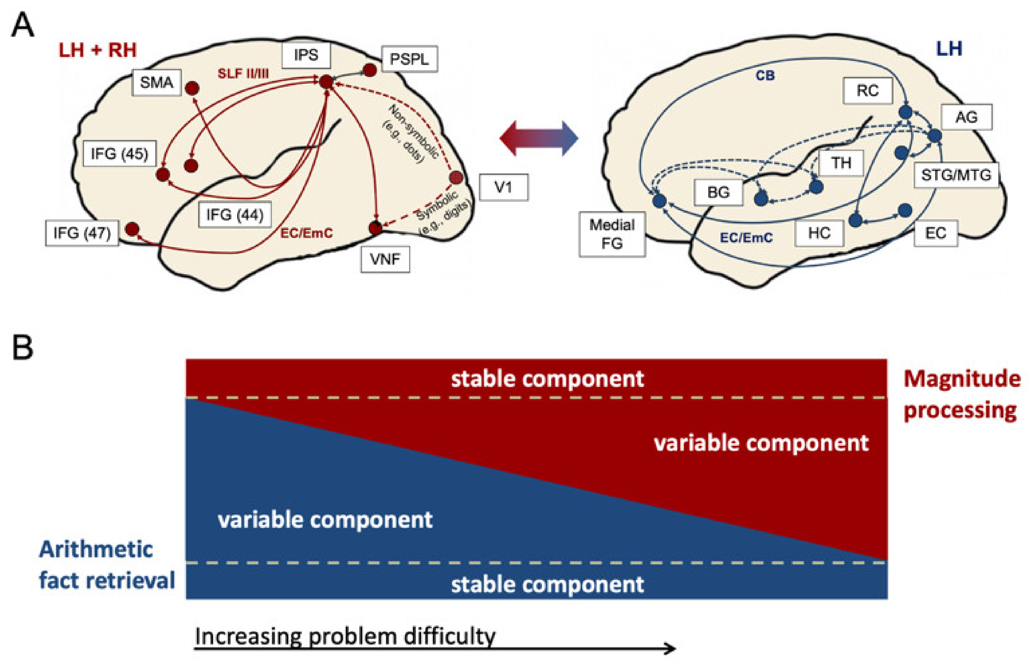 Brainsci 12 00735 g005 Brainsci 12 00735 g005