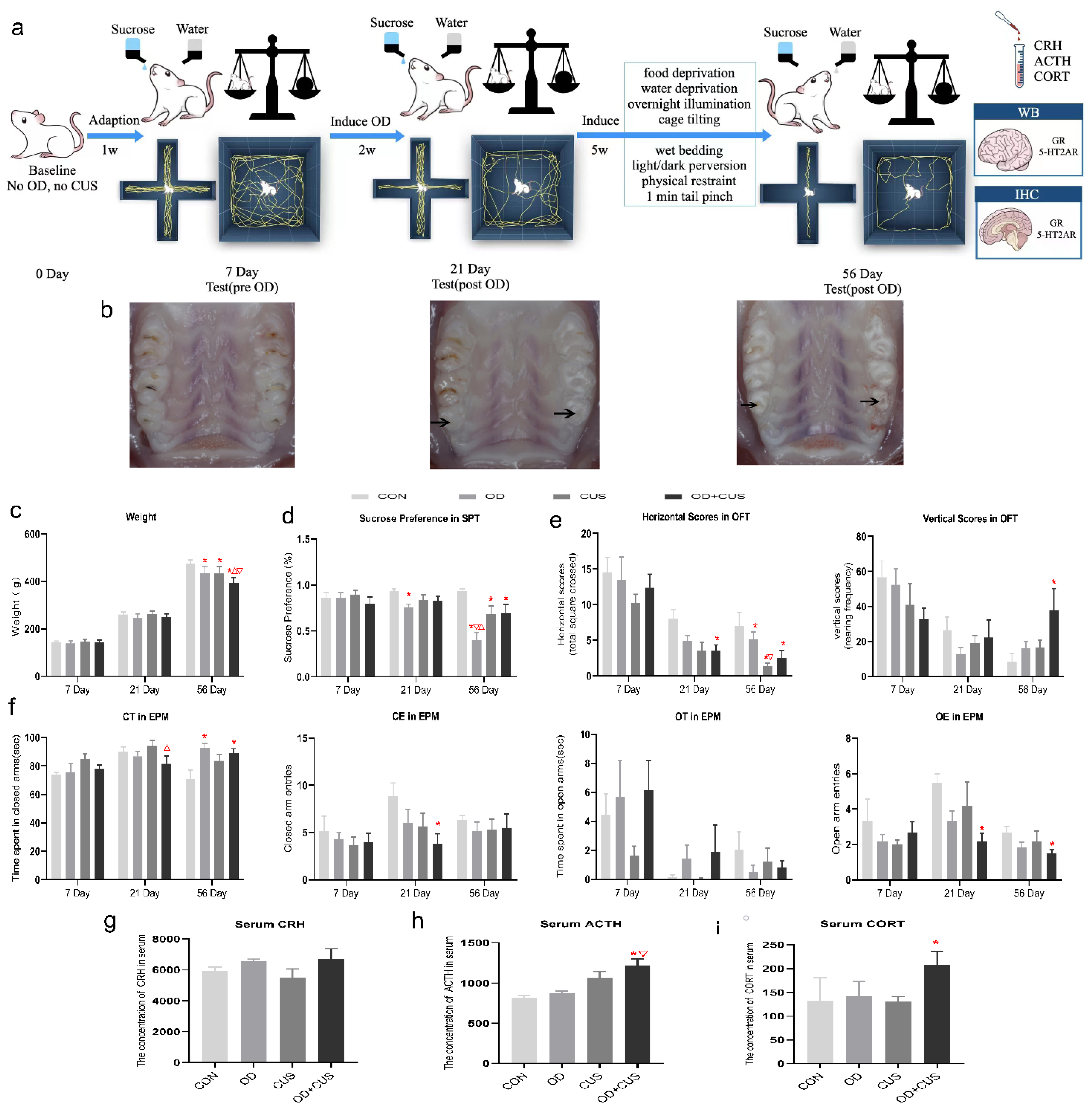 Brainsci 12 00747 g002 Brainsci 12 00747 g002