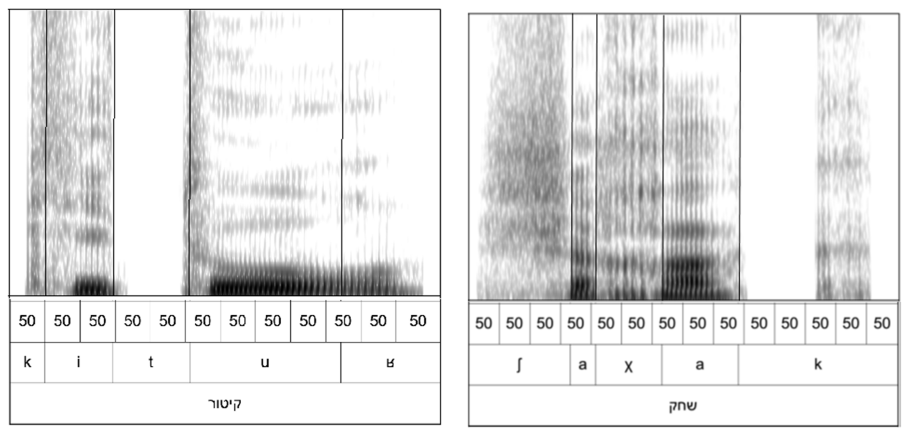 Brainsci 12 00750 g001 550