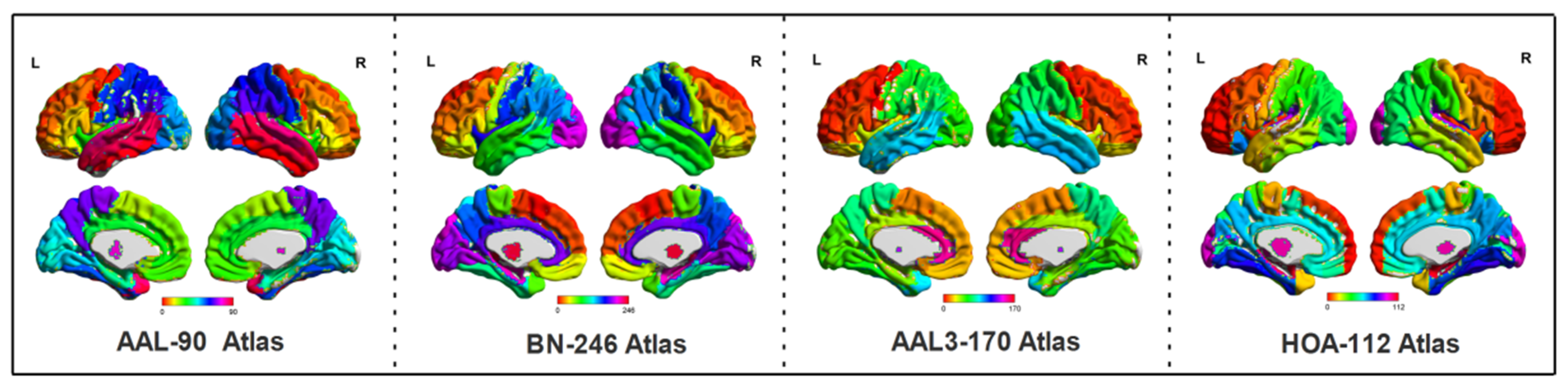 Brainsci 12 00751 g001 Brainsci 12 00751 g001