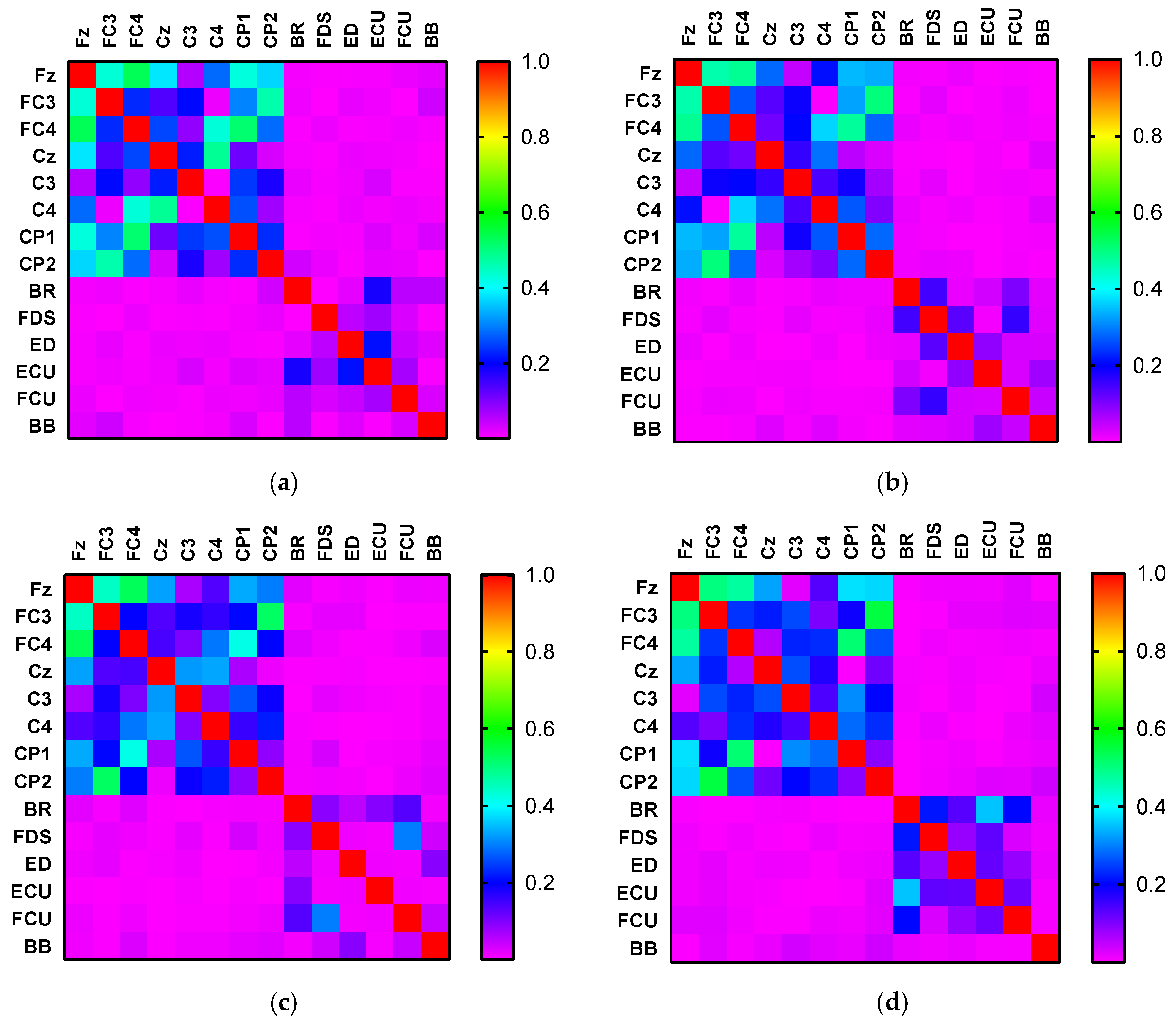 Brainsci 12 00754 g004